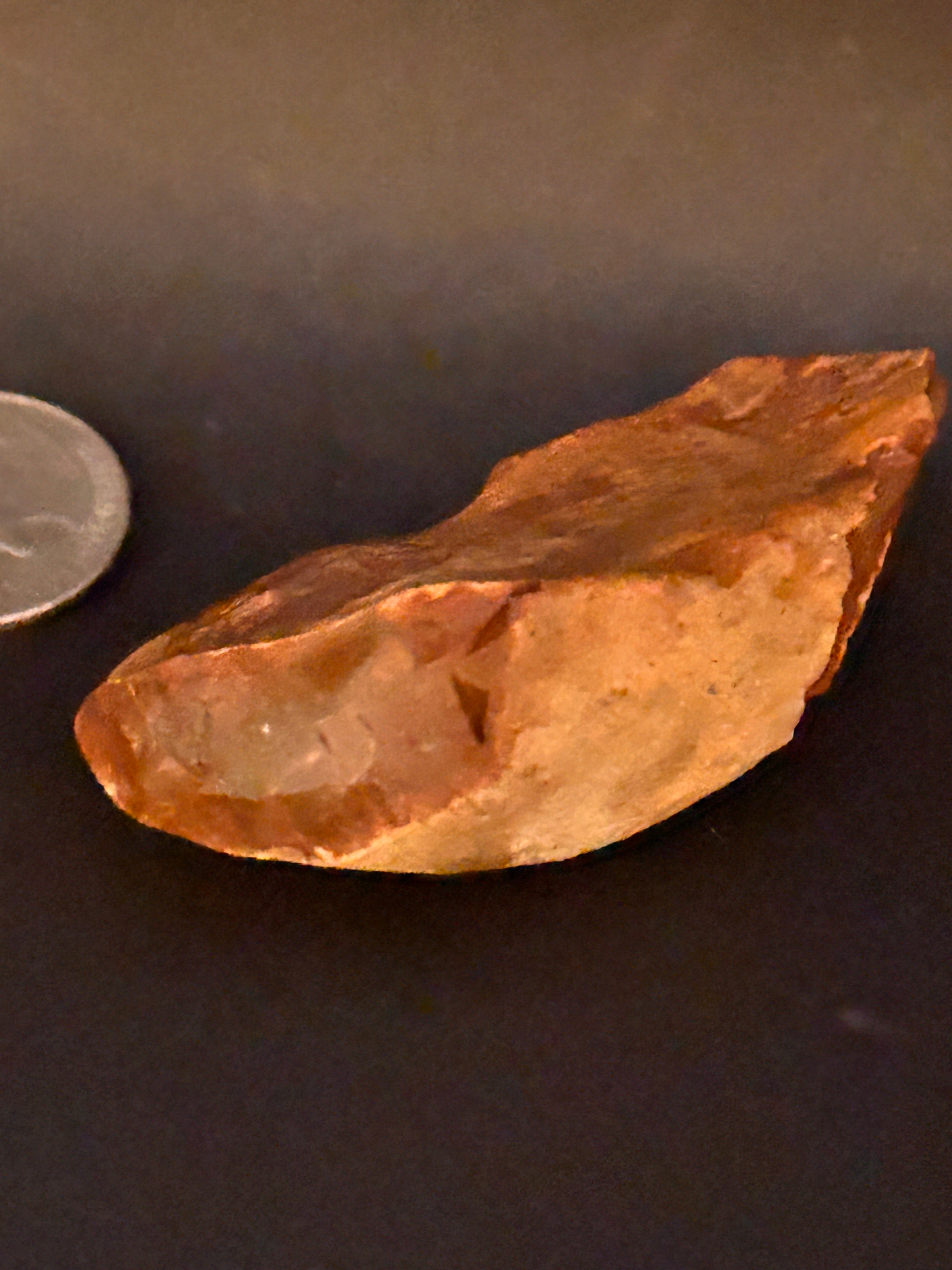 Petrified Jasper With Quartz Chalcedony Veining