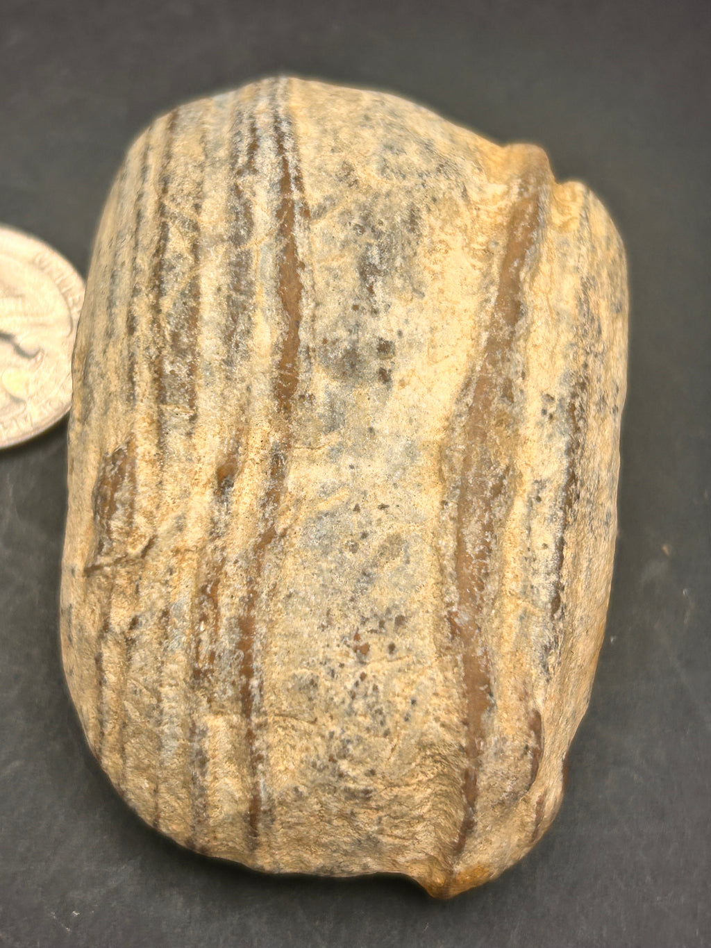 The Timber of Returning Echoes 4.68 ounces