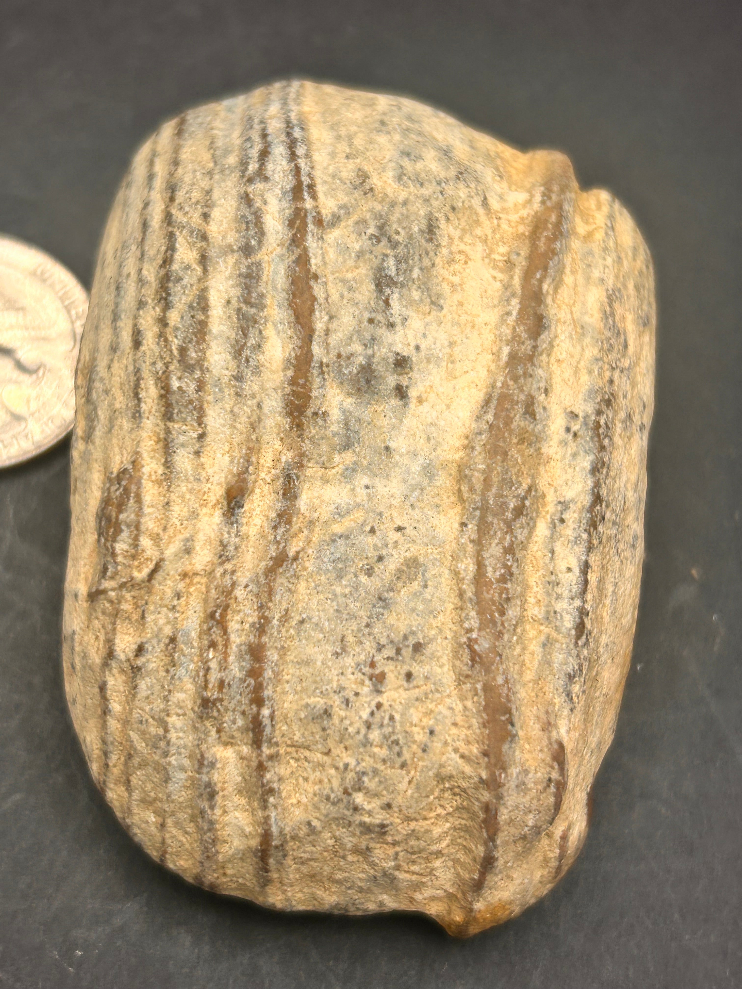 The Timber of Returning Echoes 4.68 ounces