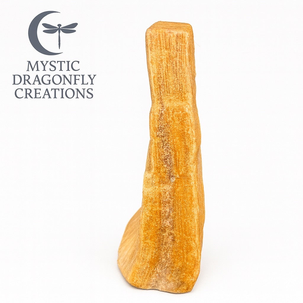 THE SUNLIT SENTINEL — Portal Collection

1.83 ounces • Petrified Wood