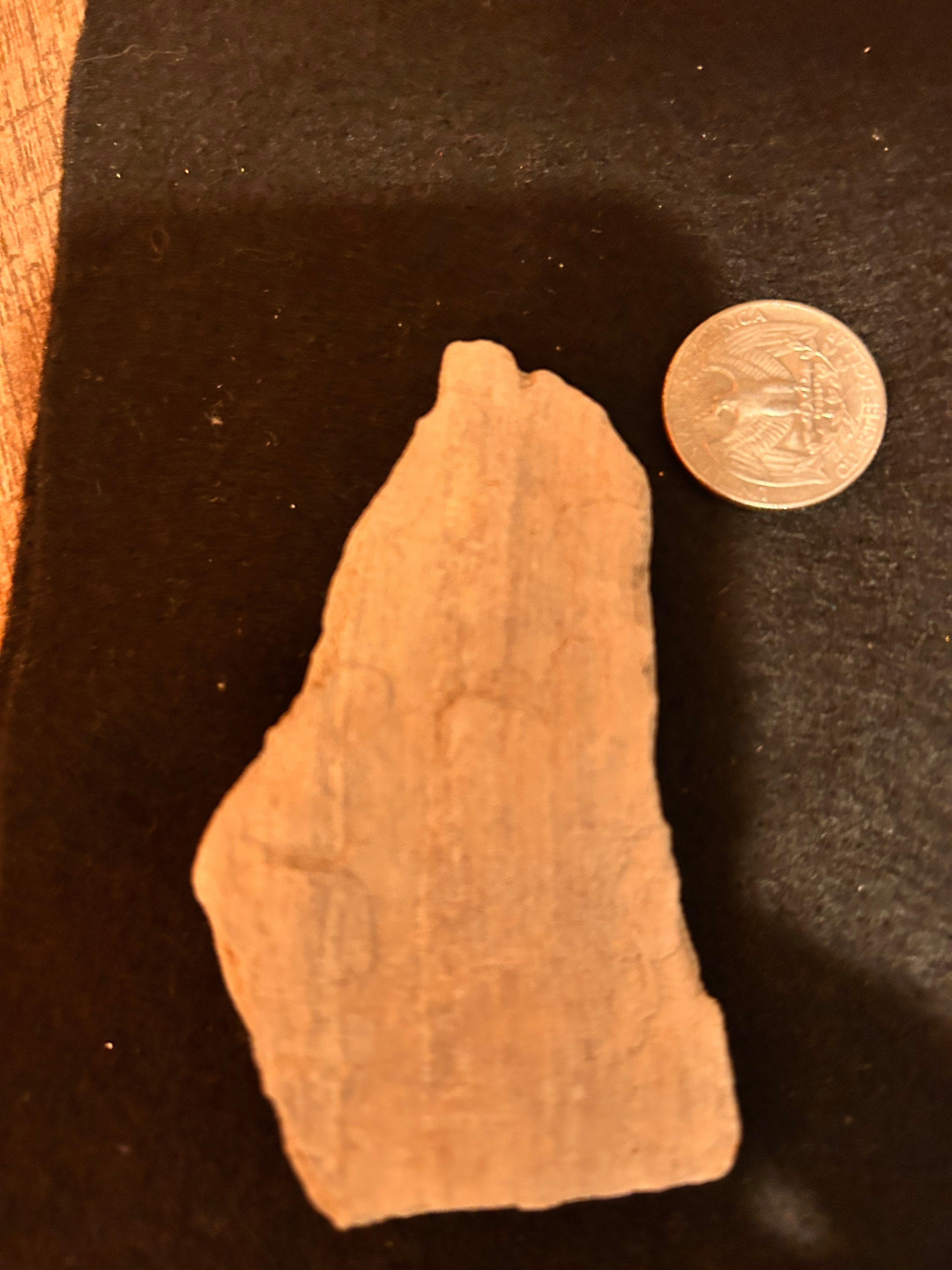 Whisperwood:  Petrified Wood