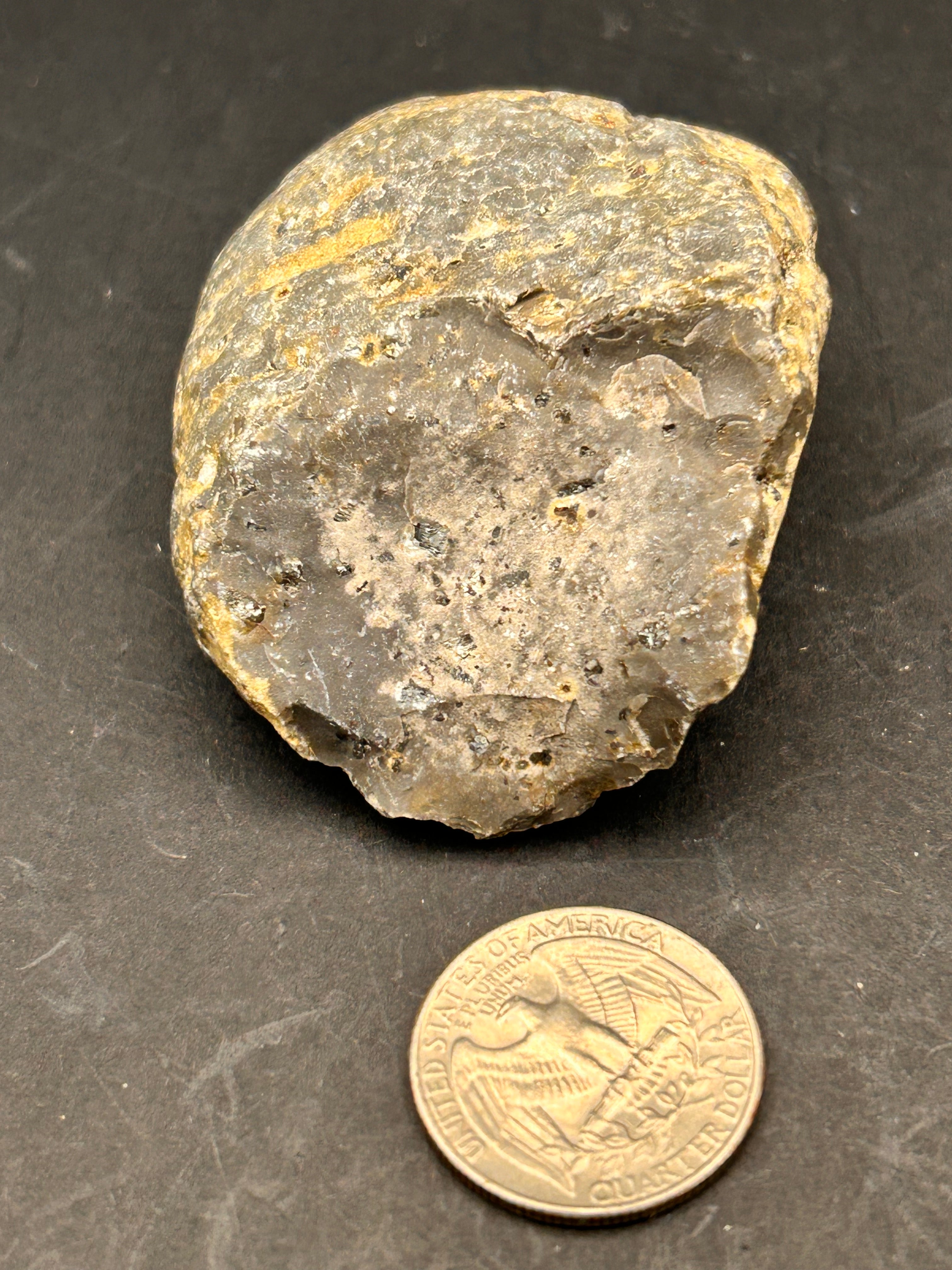 Petrified Portal Stone: “The Shrouded Memory Nodule” — 4.4 oz