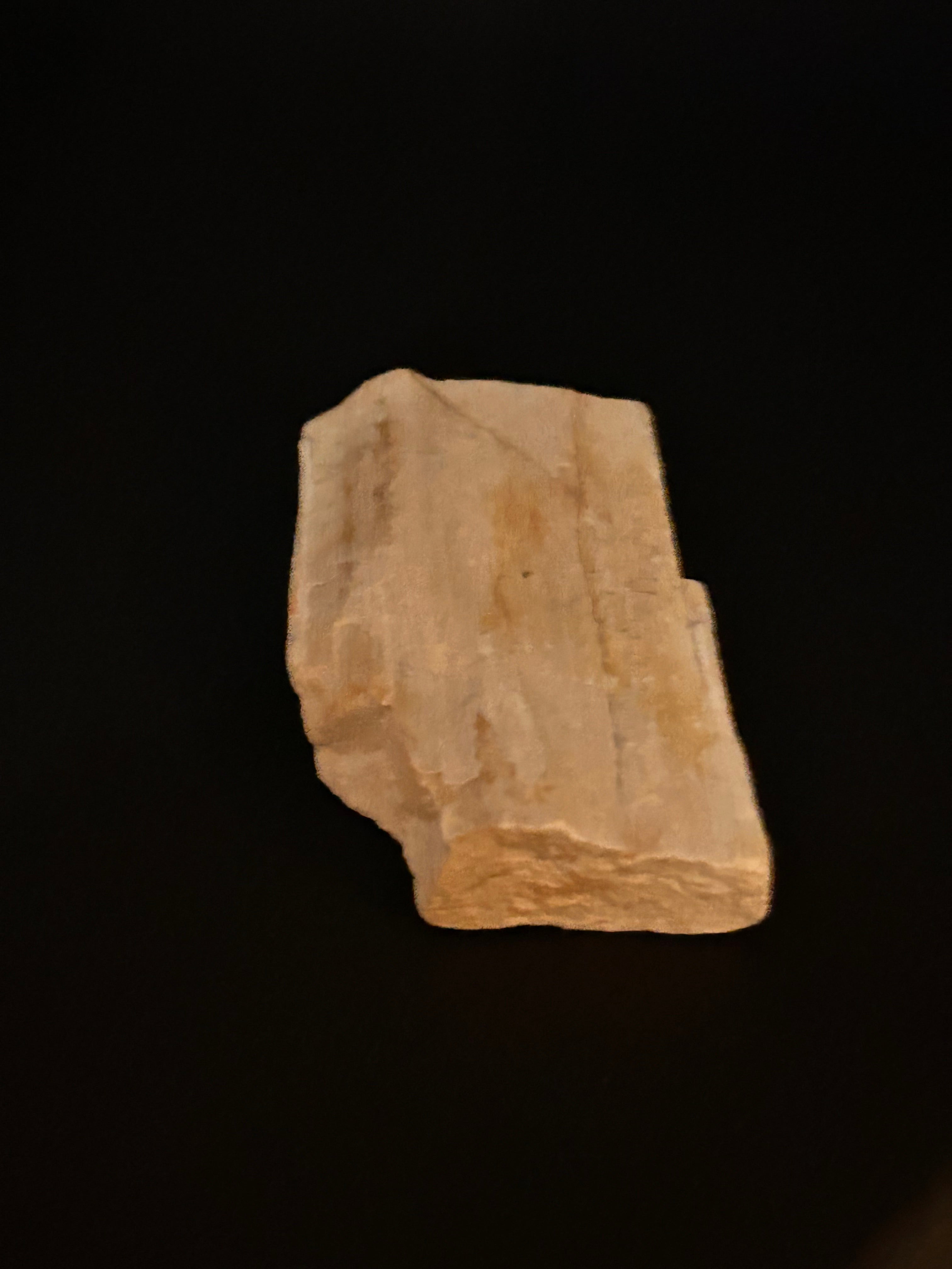 Whisperwood:  Petrified Wood