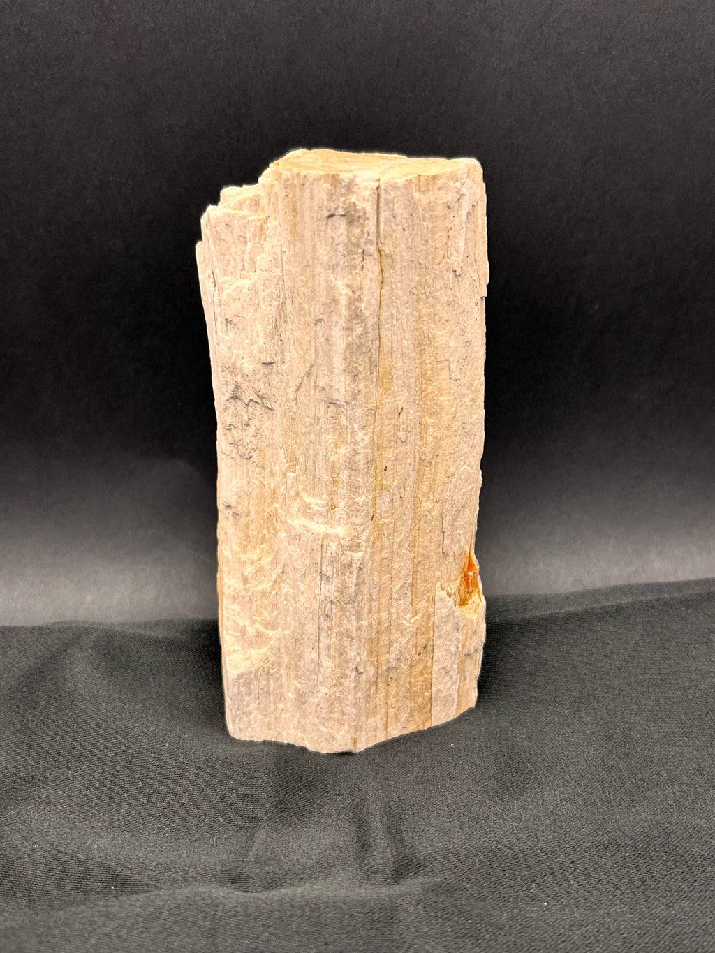 Whisperwood with Satin Spar – Ancient Petrified Wisdom