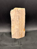 Whisperwood with Satin Spar – Ancient Petrified Wisdom