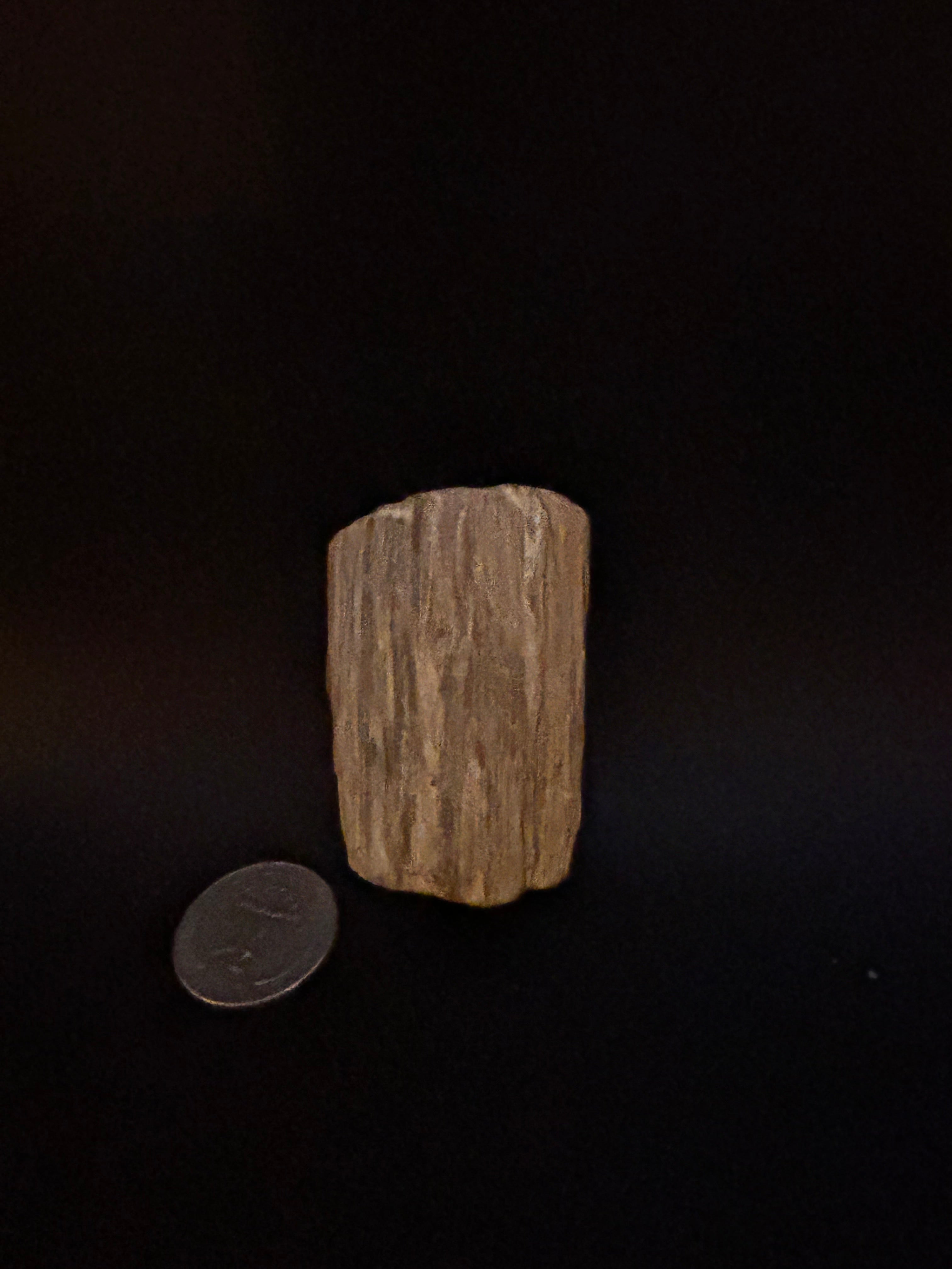 Petrified Wood with Crystallization — 2.95 oz