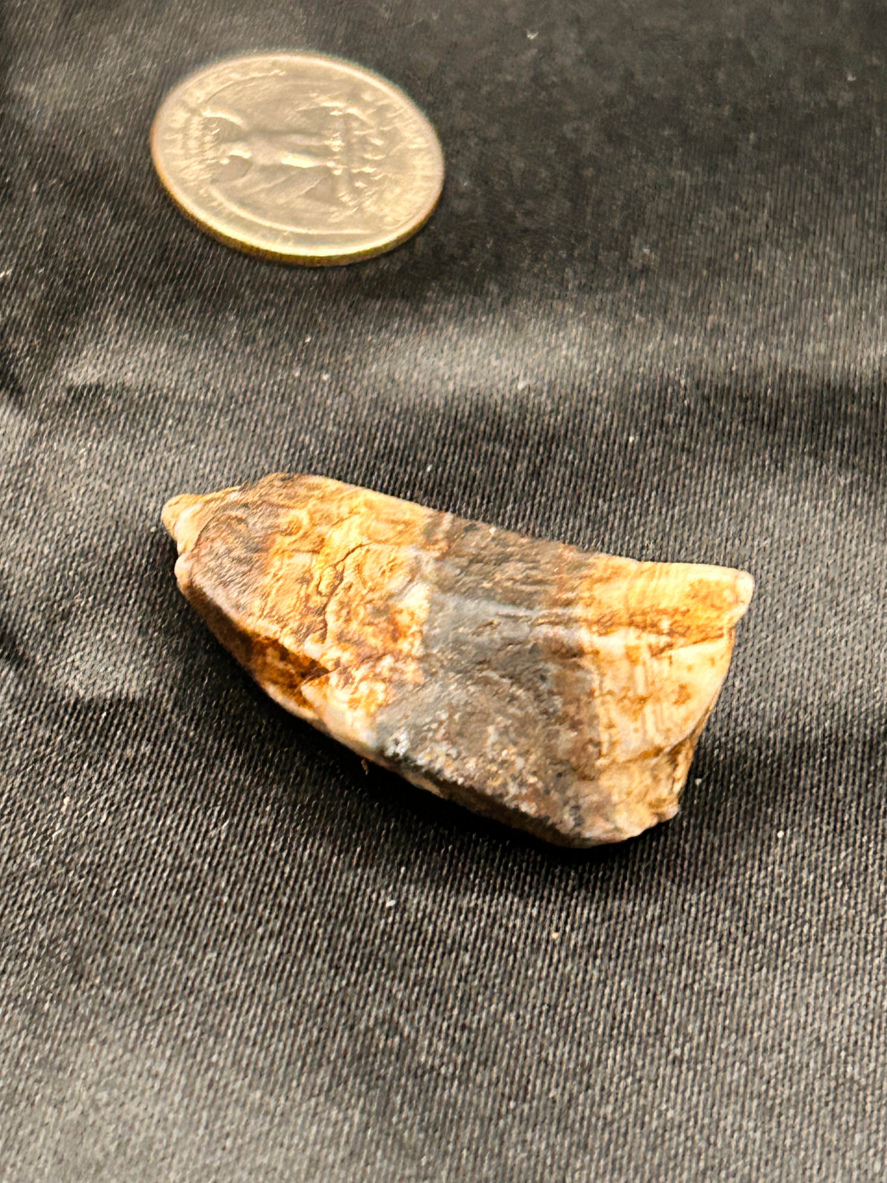 Petrified Wood & Jasper – The Flamebent Fragment Weight: .62 ounce