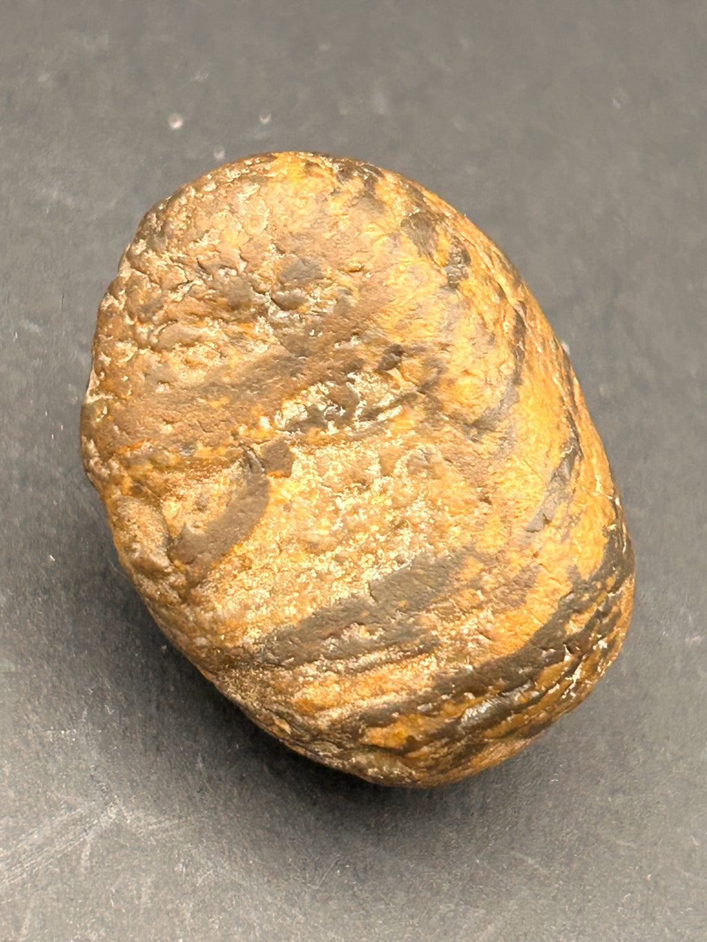 “Ember-Veined Seed Stone”