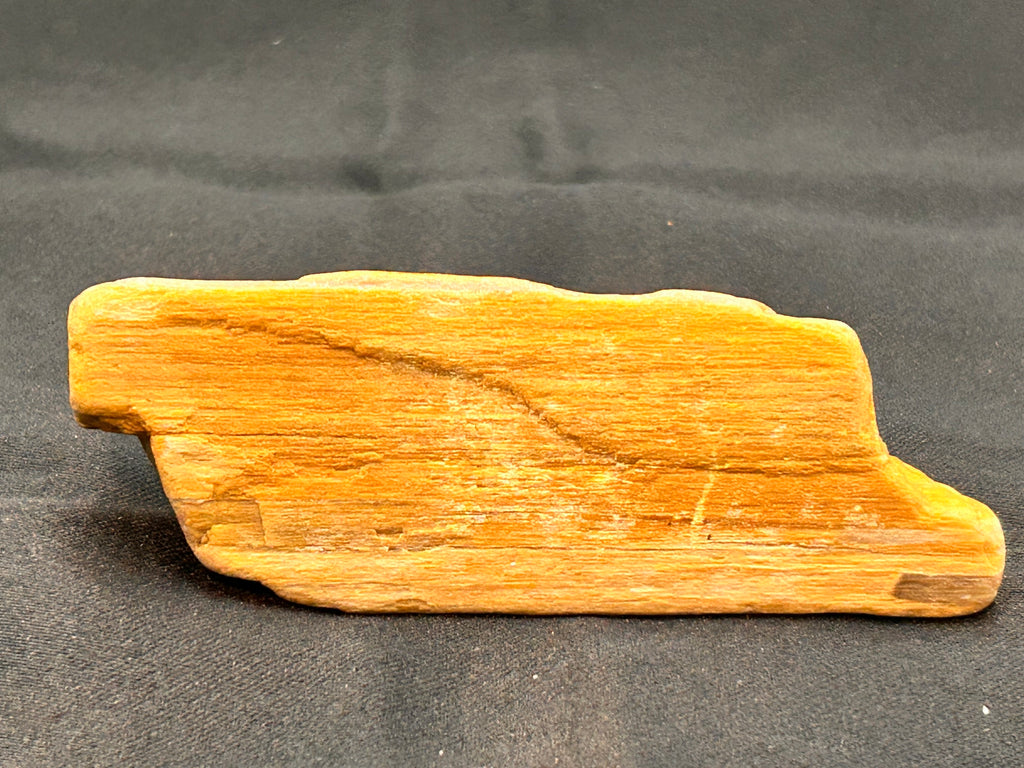 Petrified Jasper with Crystallization

Weight: 4.62 ounces