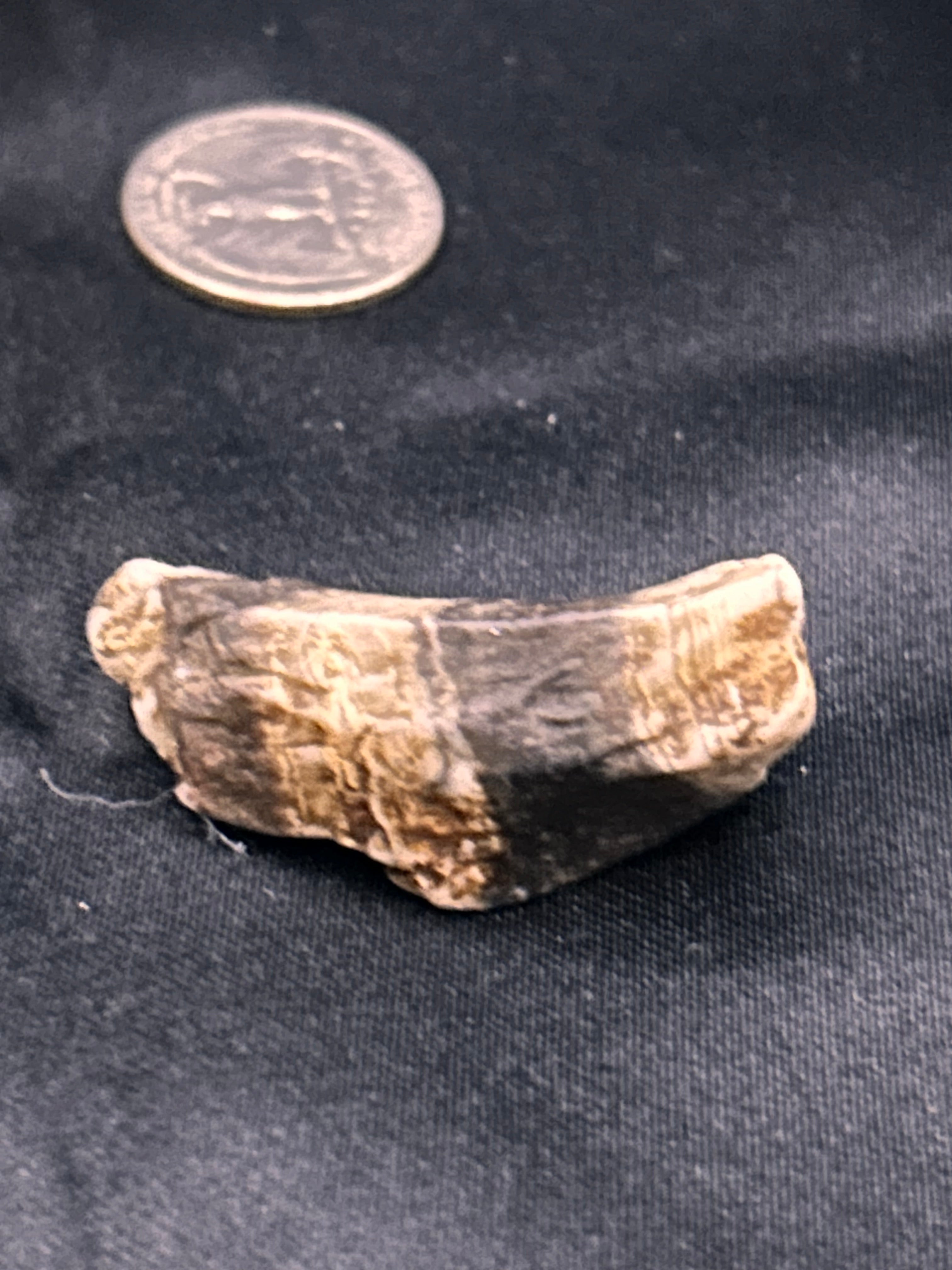 Petrified Wood & Jasper – The Flamebent Fragment Weight: .62 ounce