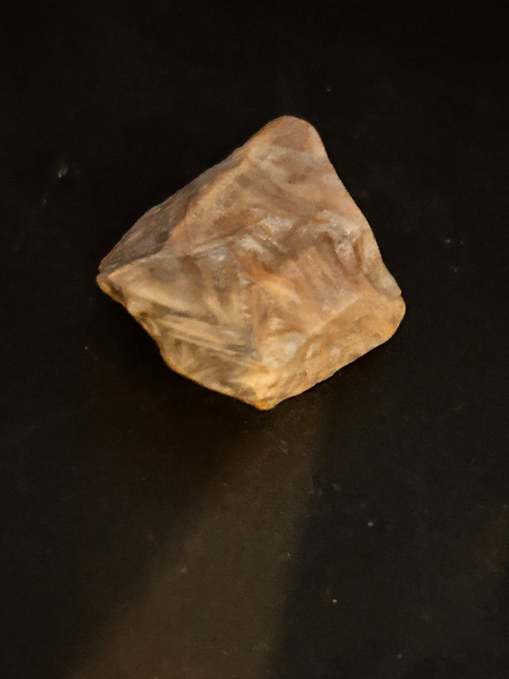 Ancient Root Whisper — 0.9 oz Portal Fragment