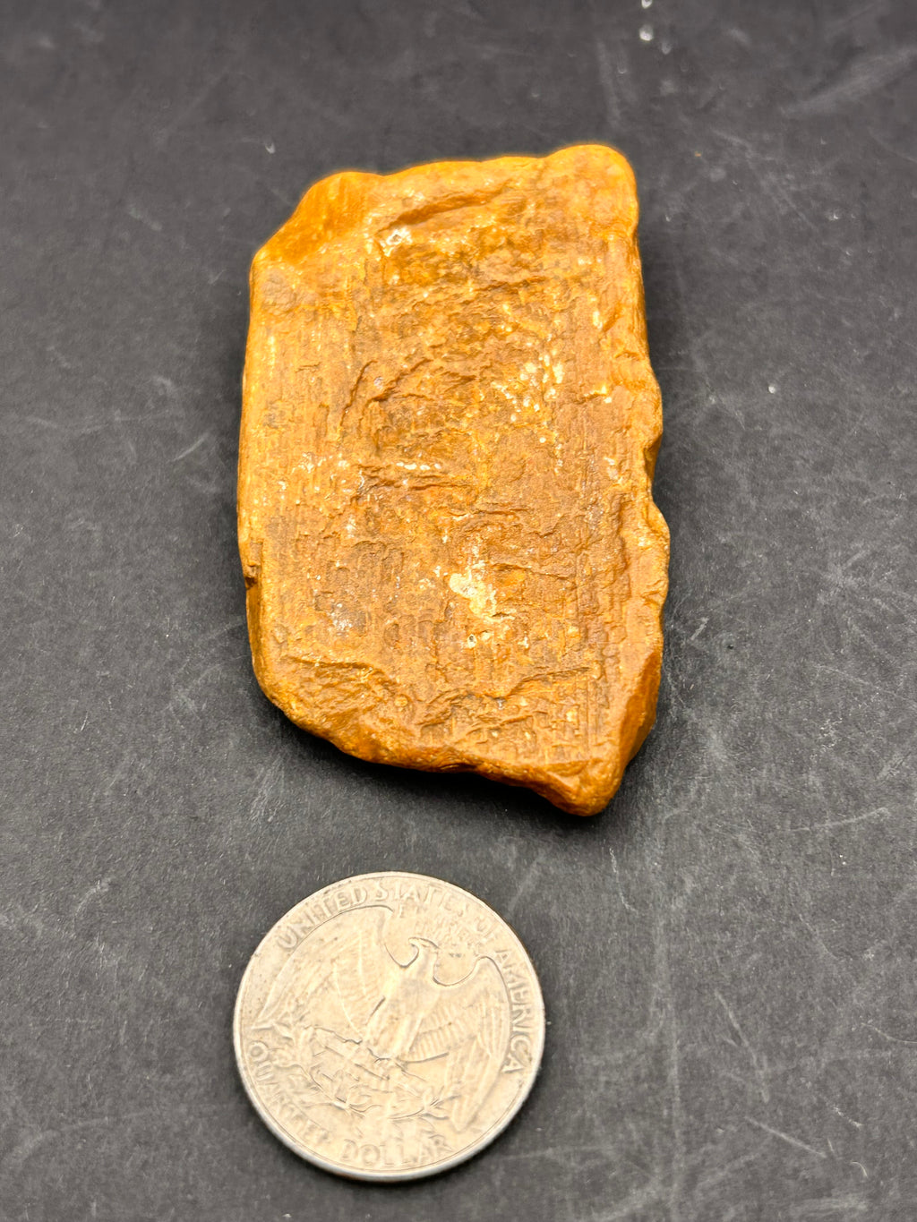 THE EMBER-SCRIPT TABLET — Petrified Yellow Jasper + Petrified Wood | 1.67 oz
