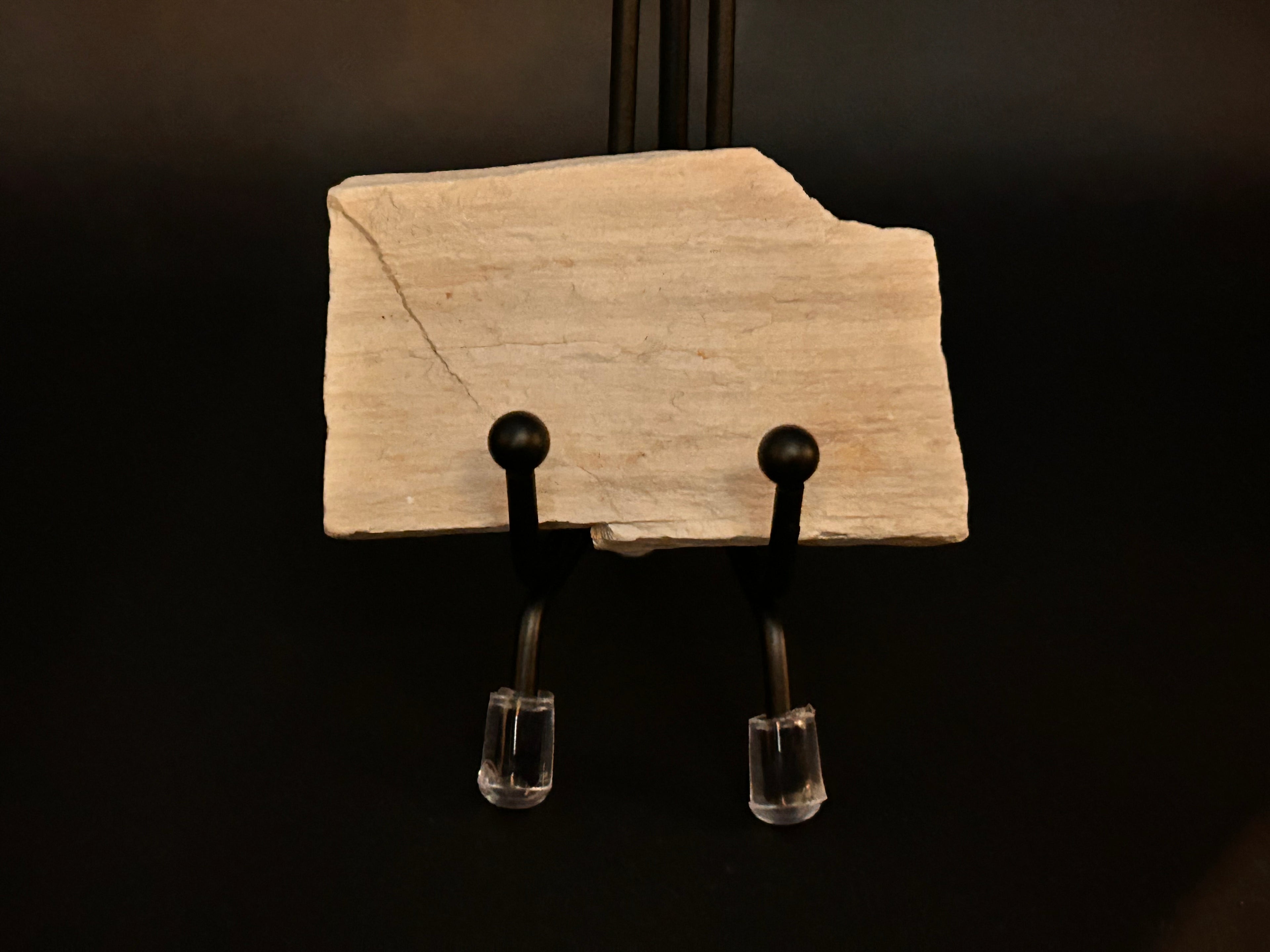 Whisperwood:  Petrified Wood