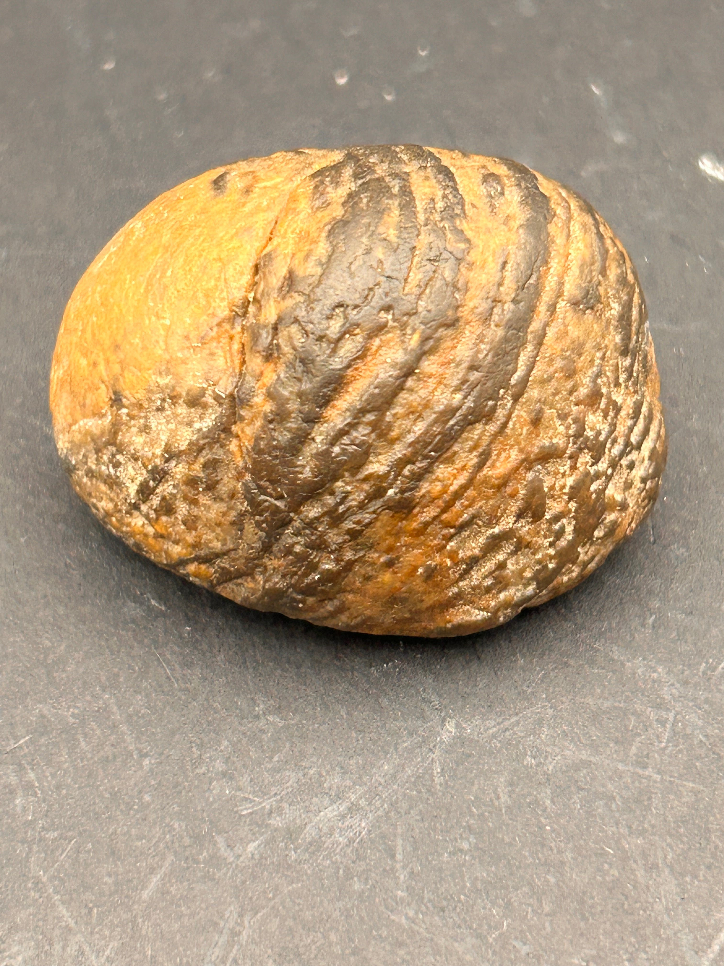 “Ember-Veined Seed Stone”