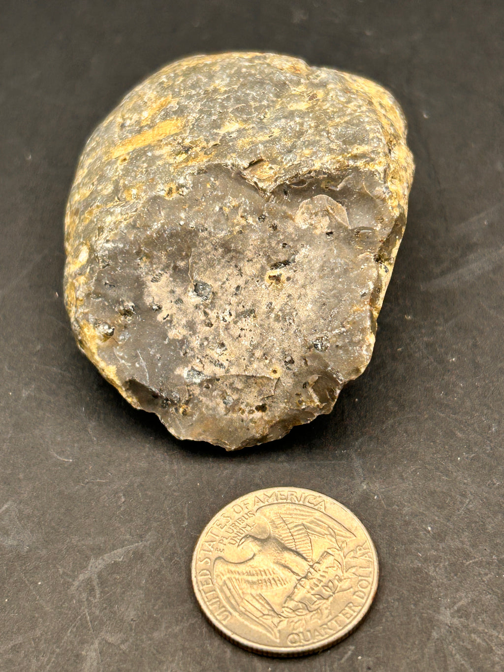 Petrified Portal Stone: “The Shrouded Memory Nodule” — 4.4 oz