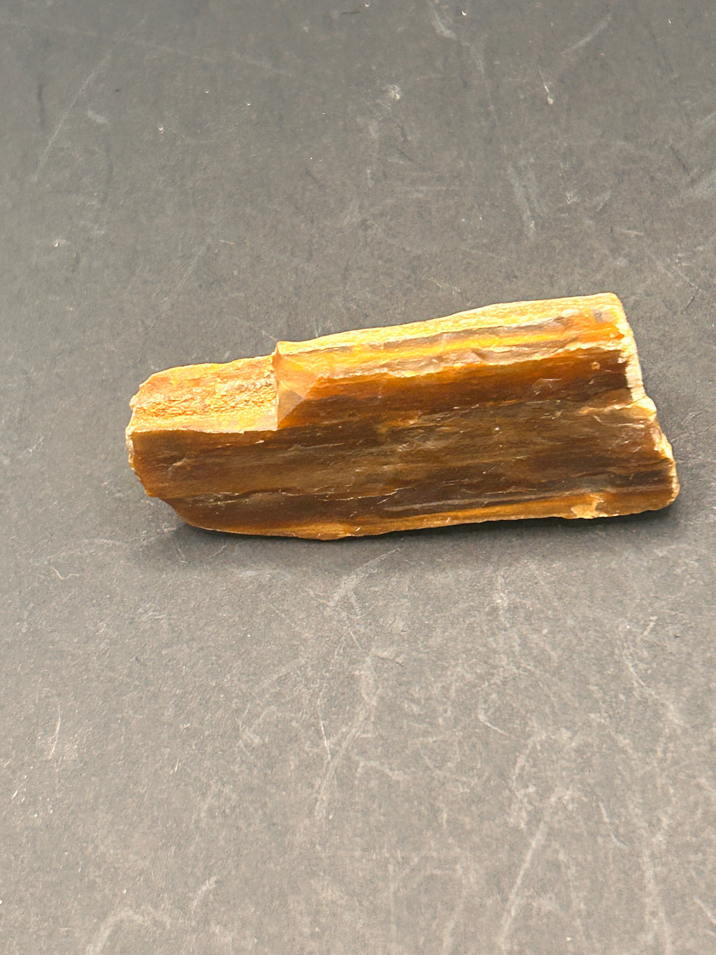1.3-ounce petrified wood
