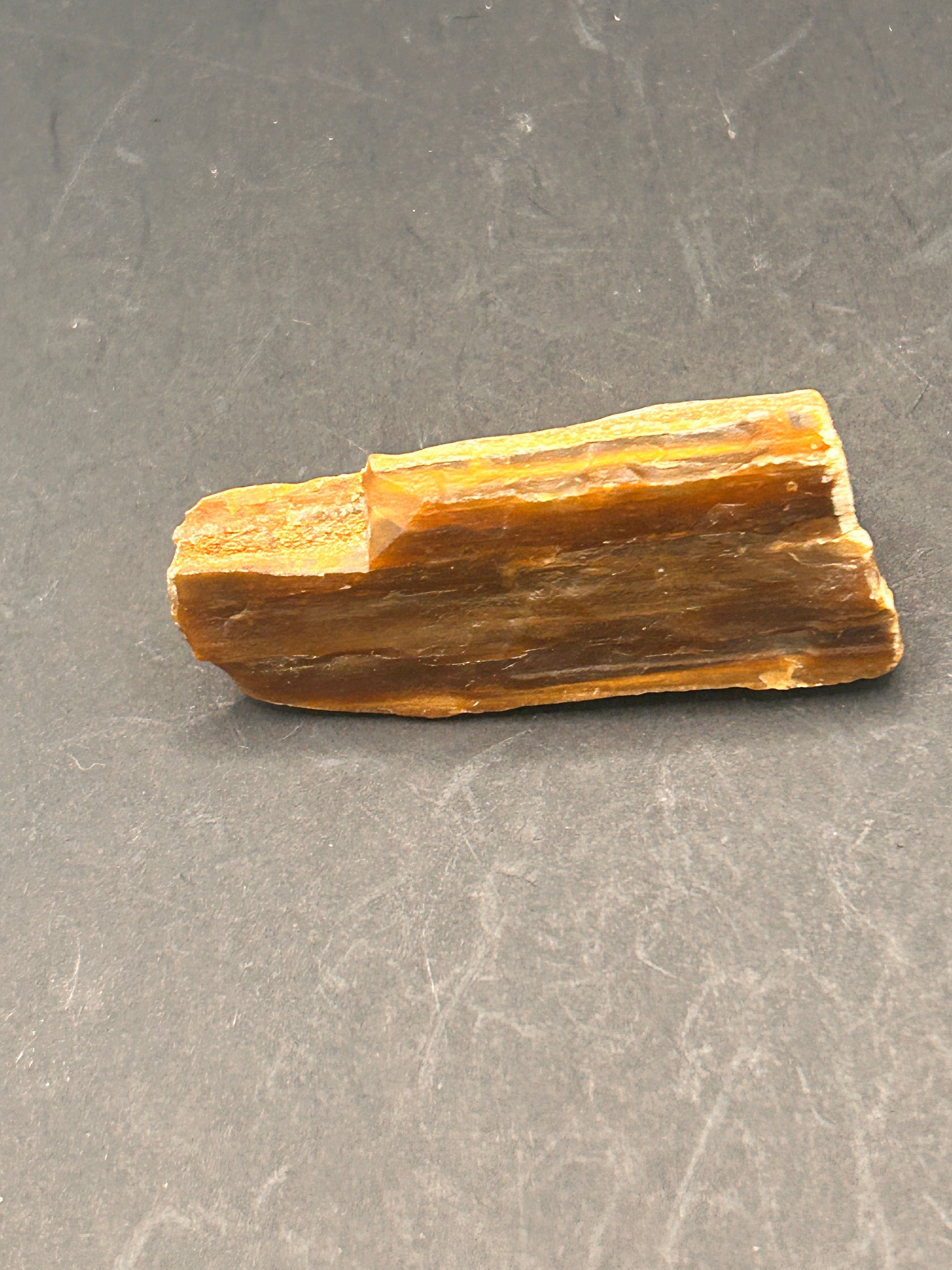 1.3-ounce petrified wood
