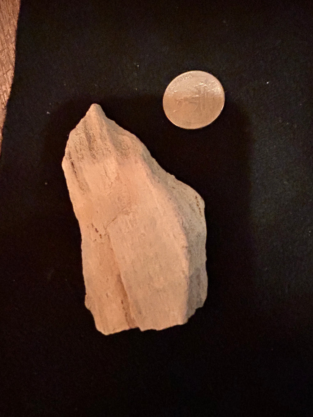 Whisperwood:  Petrified Wood