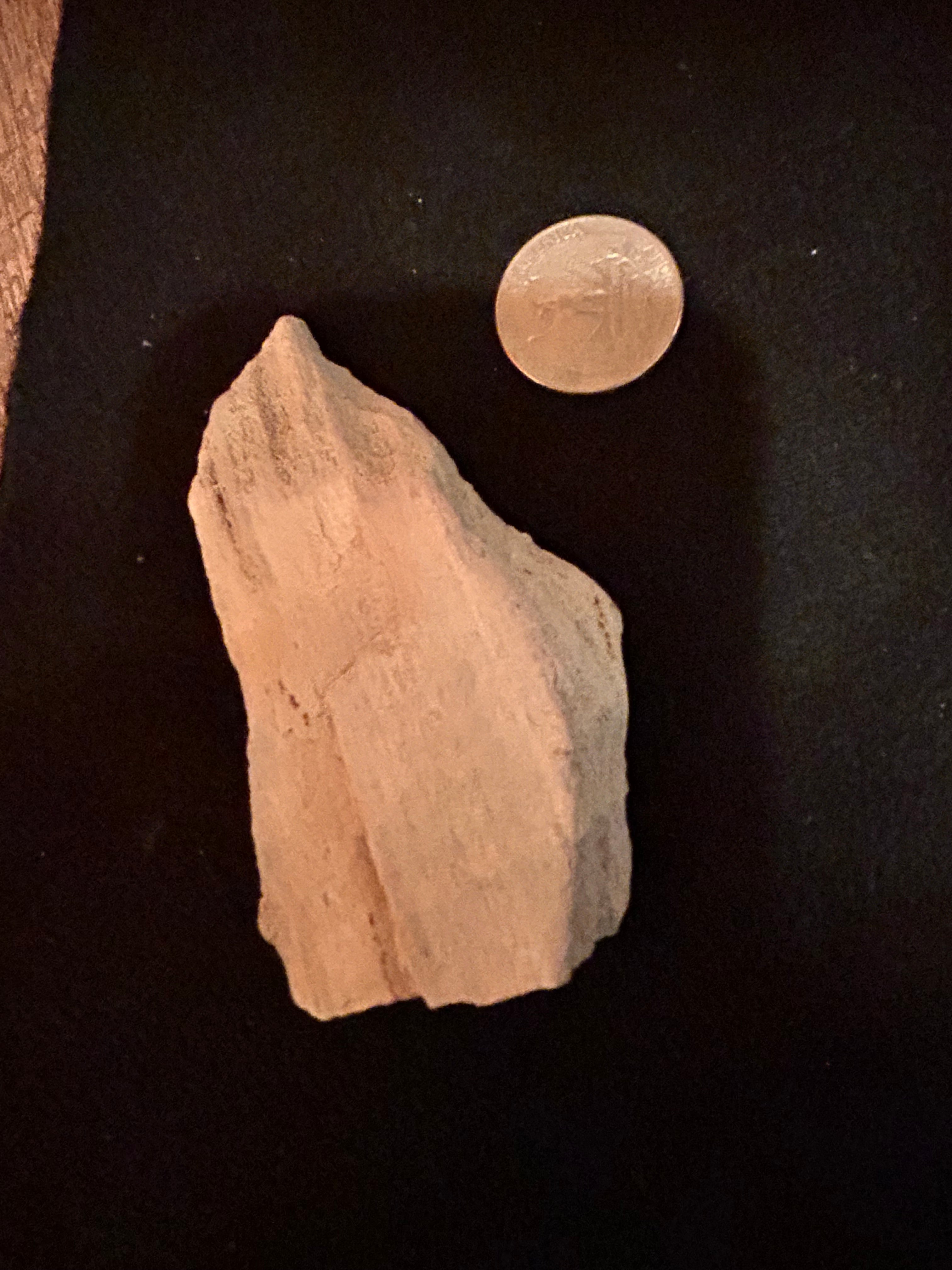 Whisperwood:  Petrified Wood