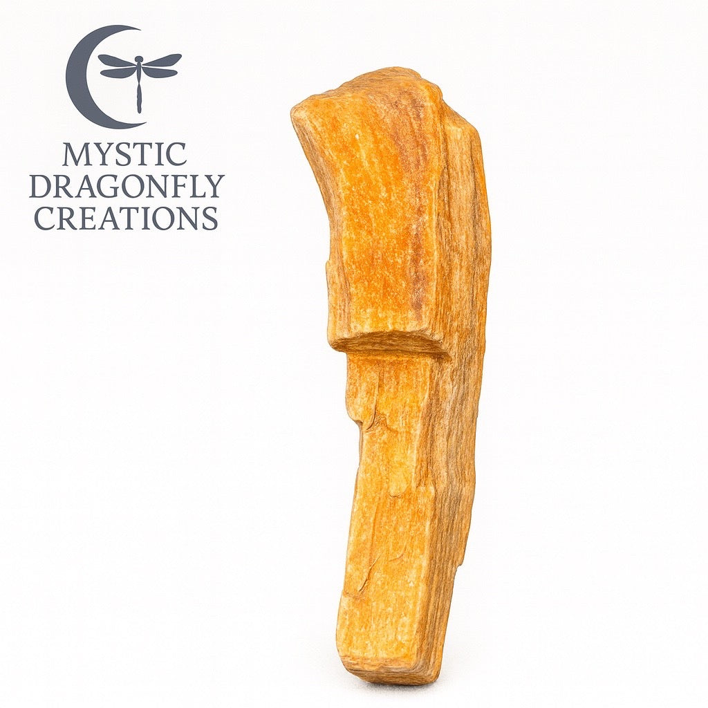 THE SUNLIT SENTINEL — Portal Collection

1.83 ounces • Petrified Wood