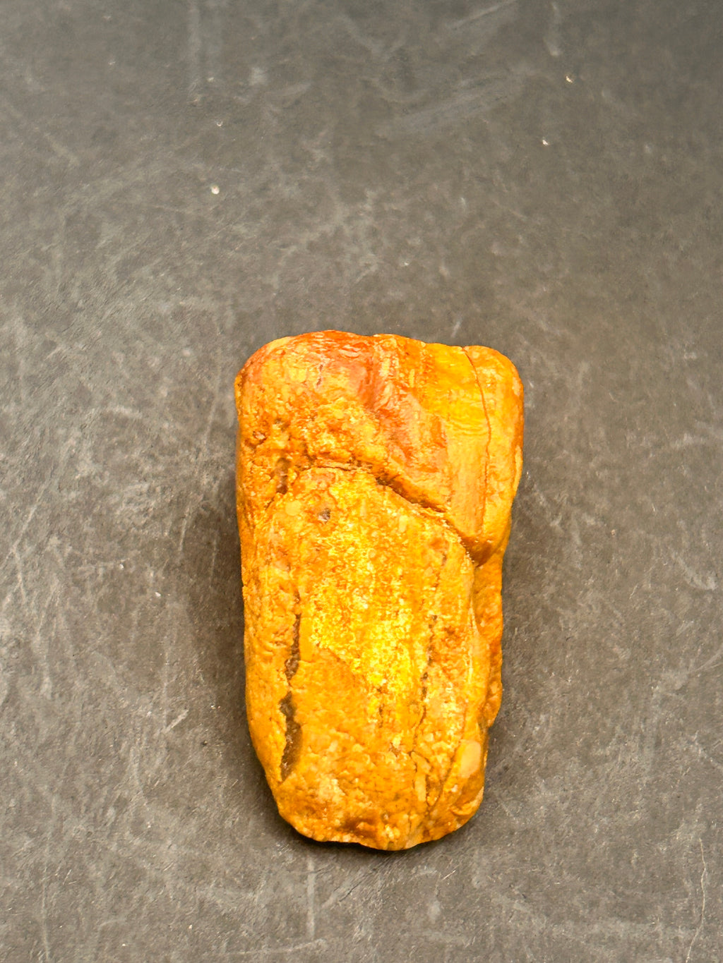 Amberroot Emberstone (1.05 oz) is a vivid fragment of petrified, jasperized wood