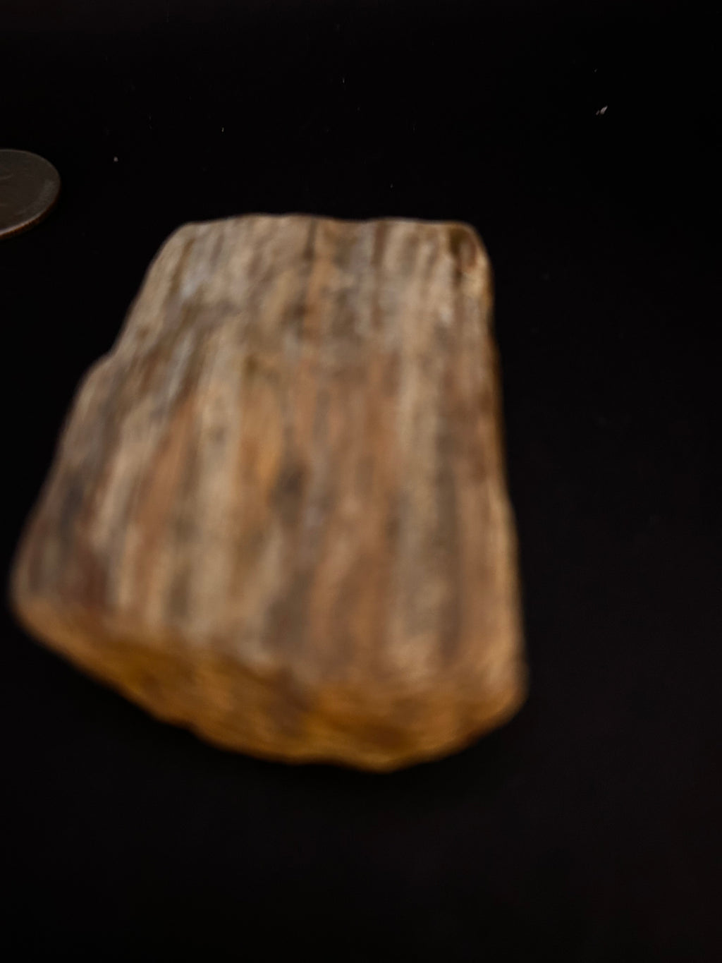 Petrified Wood with Crystallization — 2.95 oz