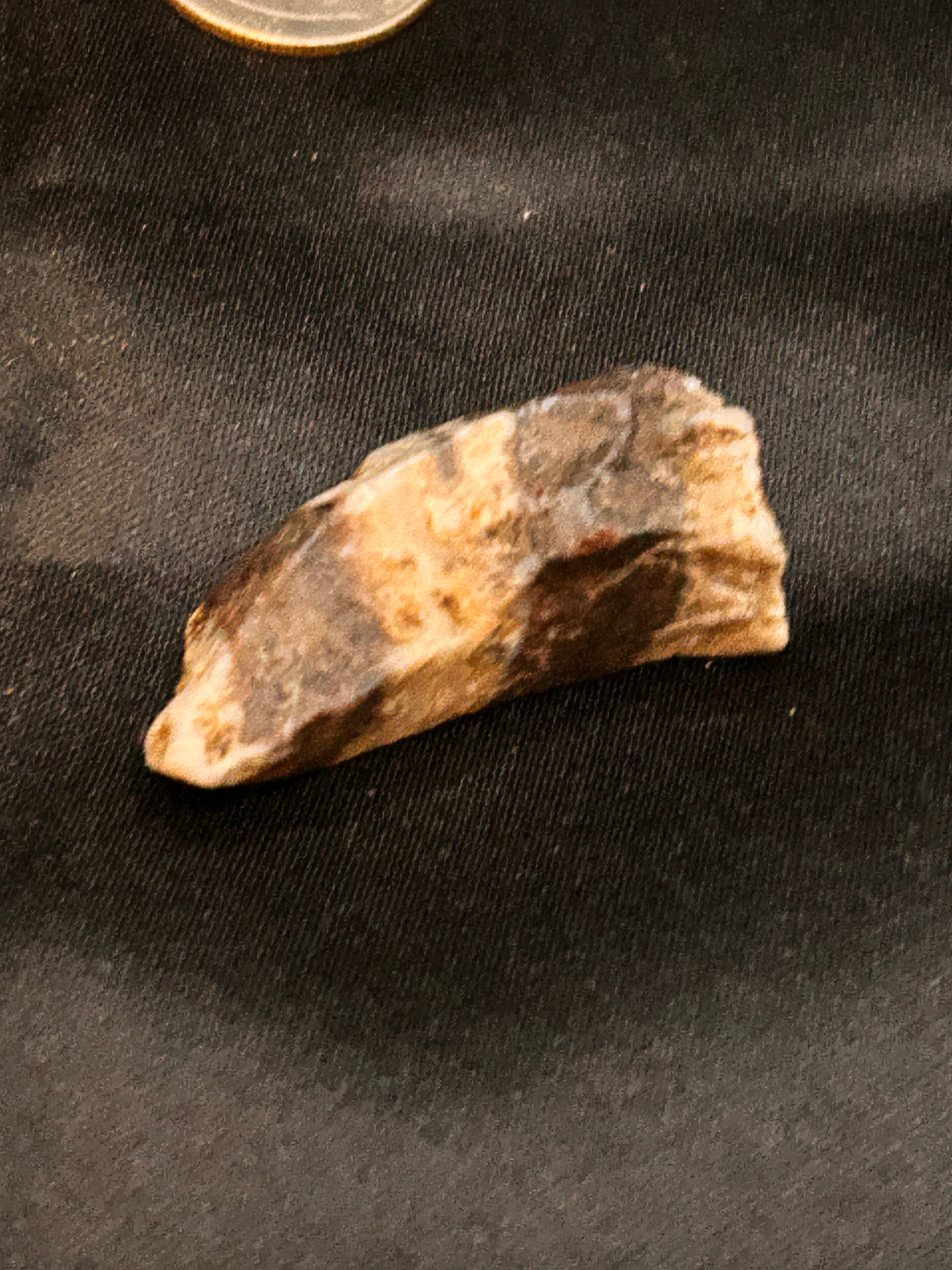 Petrified Wood & Jasper – The Flamebent Fragment Weight: .62 ounce