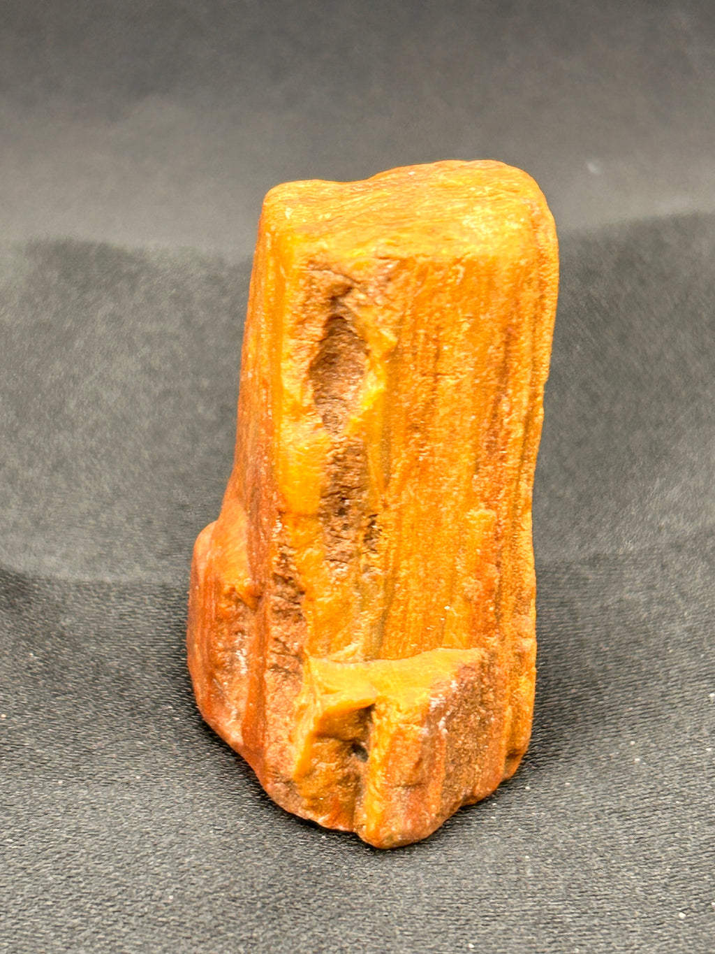 🔥 THE EMBERSTONE RELIC — Jasperized Petrified Wood with Micro Quartz