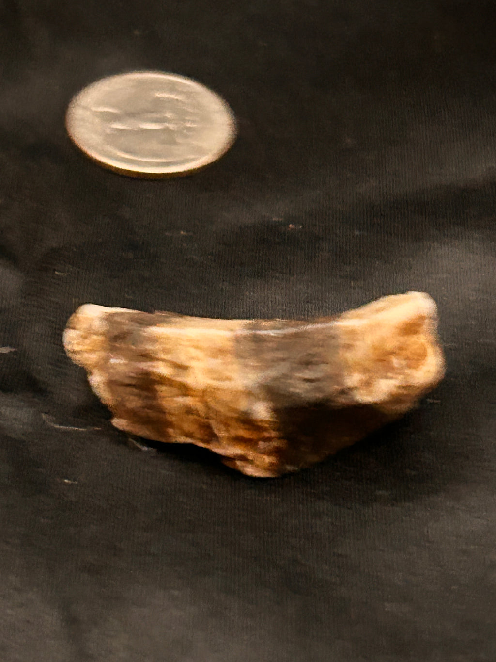 Petrified Wood & Jasper – The Flamebent Fragment Weight: .62 ounce