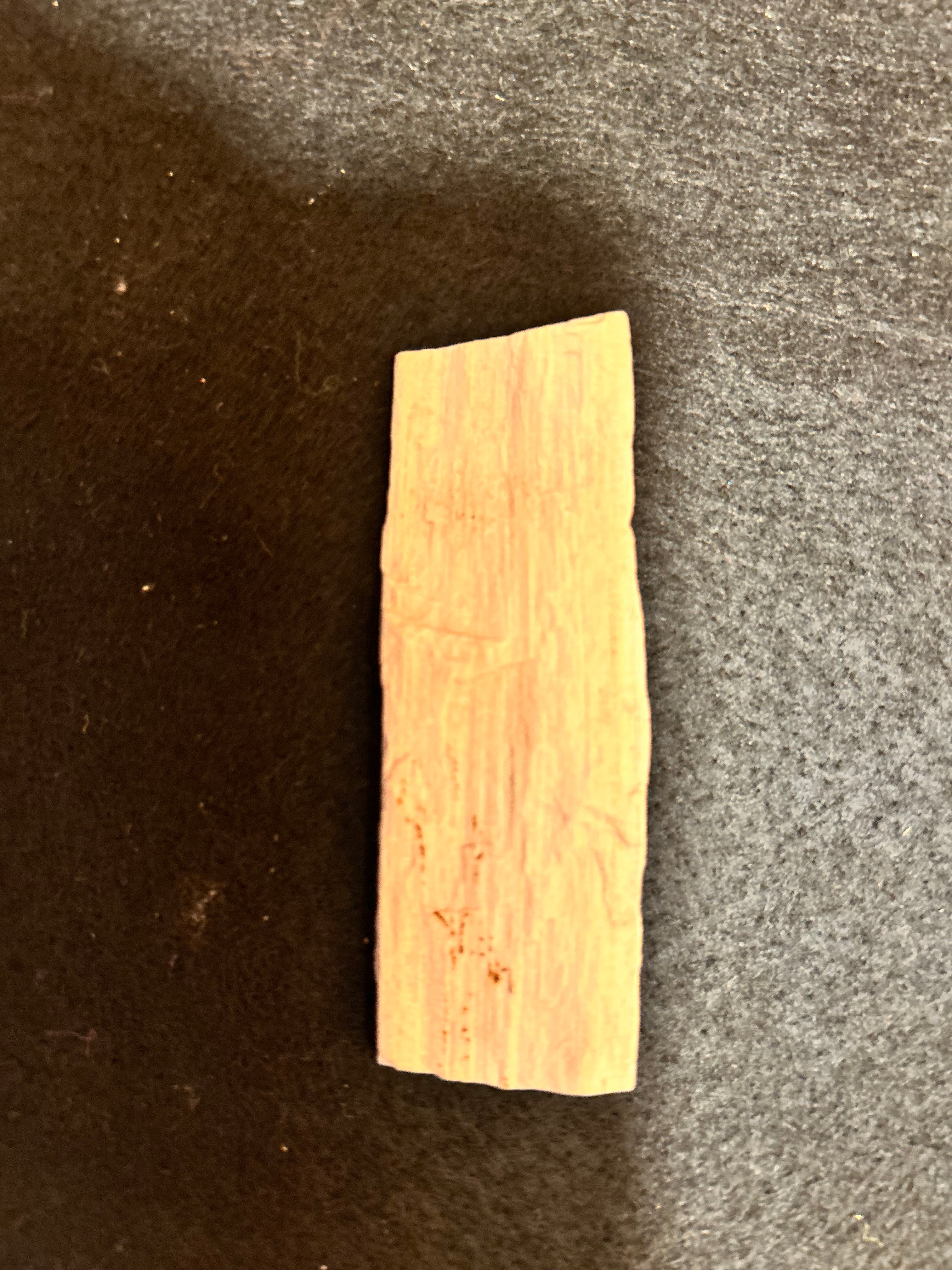 Whisperwood:  Petrified Wood
