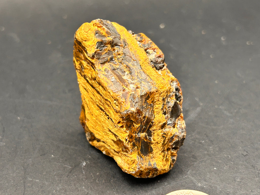 “The Ember-Bound Relic” 3.14 Ounce Tiger Iron