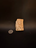 Petrified Fossil Wood Fragment (Mineralized Timber Core) 2.46 ounce