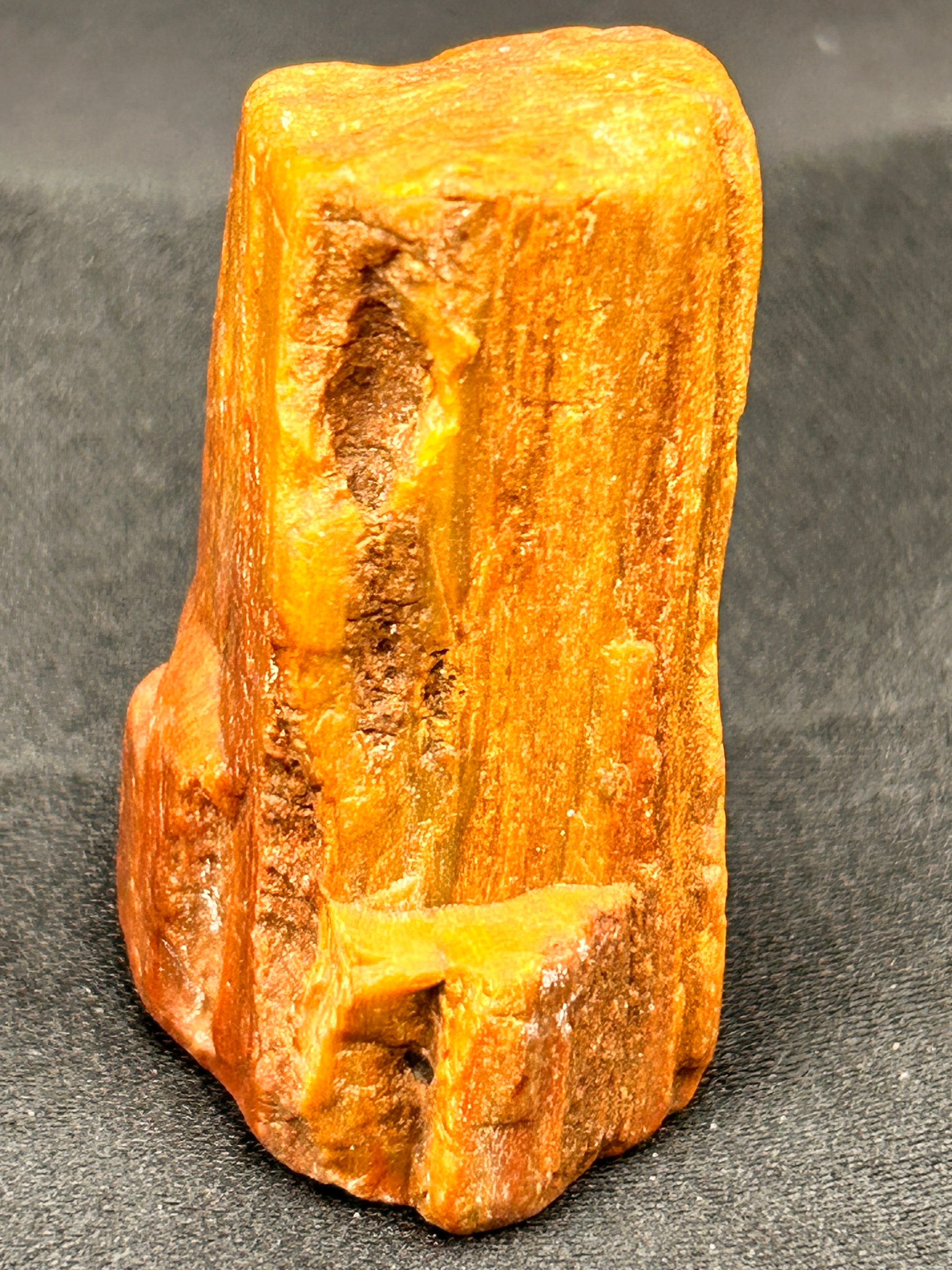 🔥 THE EMBERSTONE RELIC — Jasperized Petrified Wood with Micro Quartz