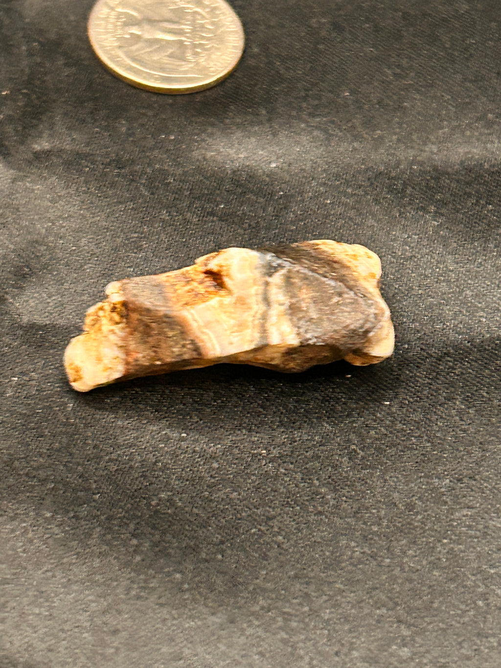 Petrified Wood & Jasper – The Flamebent Fragment Weight: .62 ounce