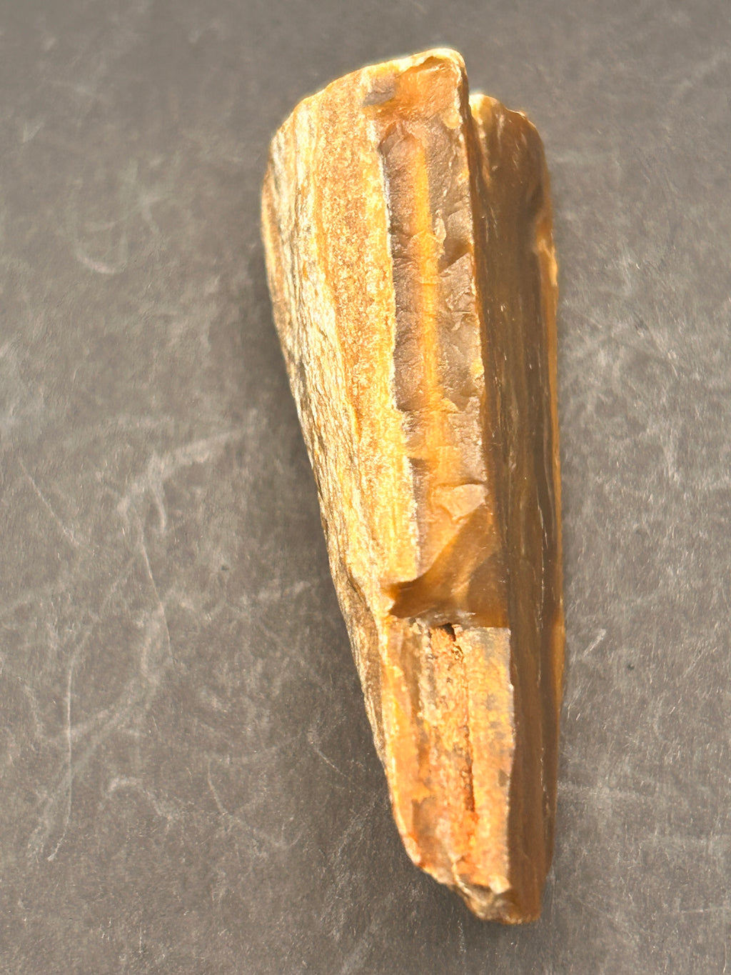 1.3-ounce petrified wood