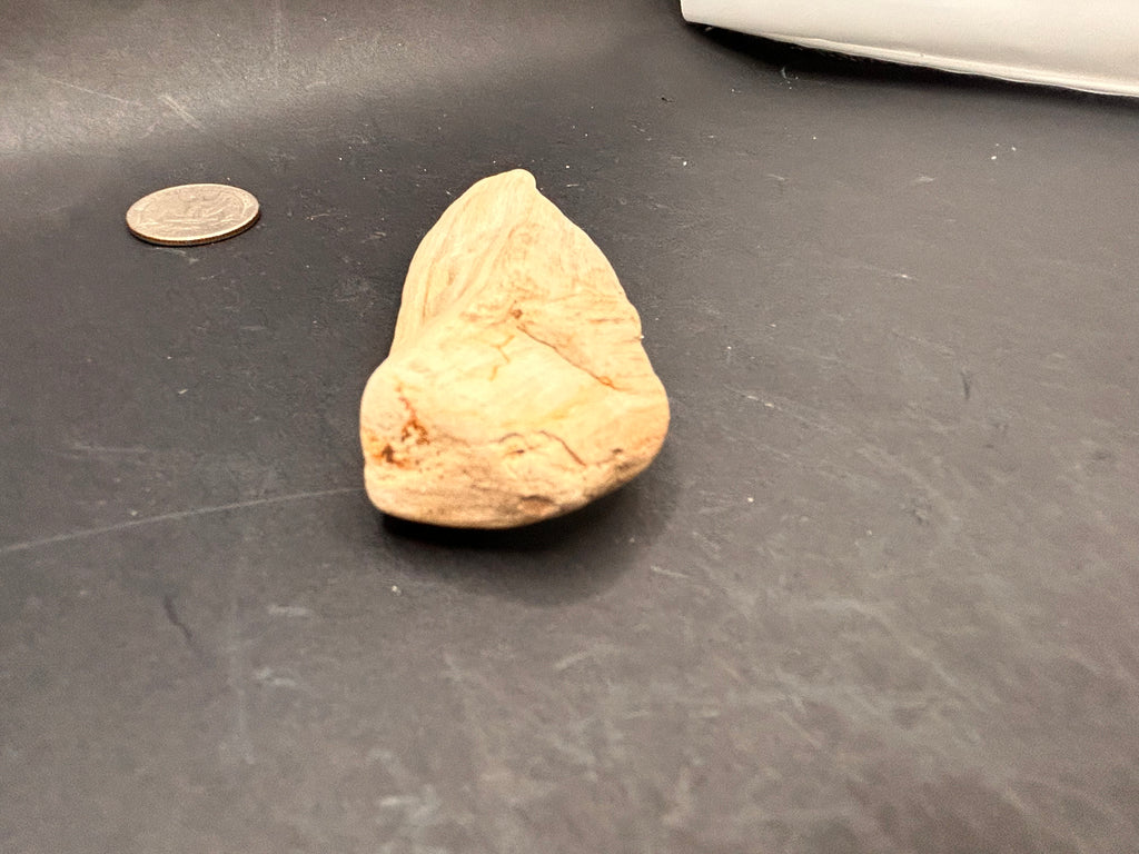 The Whisperblade of Avrilis — 1.70 oz Petrified Wood