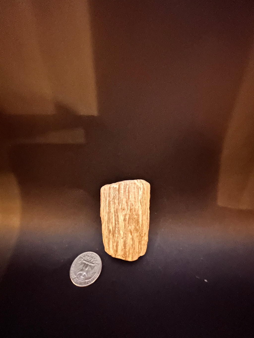 Petrified Wood with Crystallization — 2.95 oz