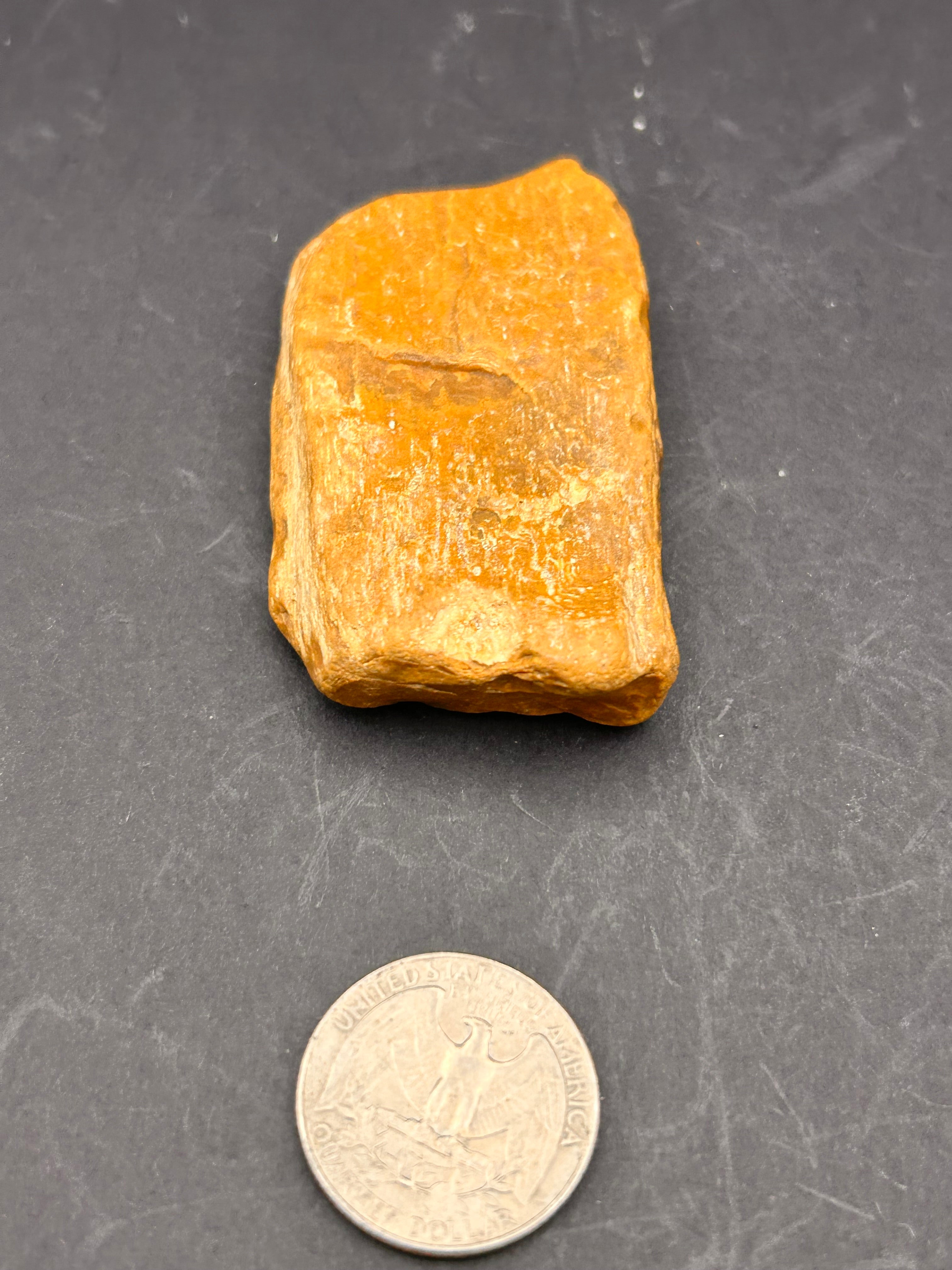 THE EMBER-SCRIPT TABLET — Petrified Yellow Jasper + Petrified Wood | 1.67 oz