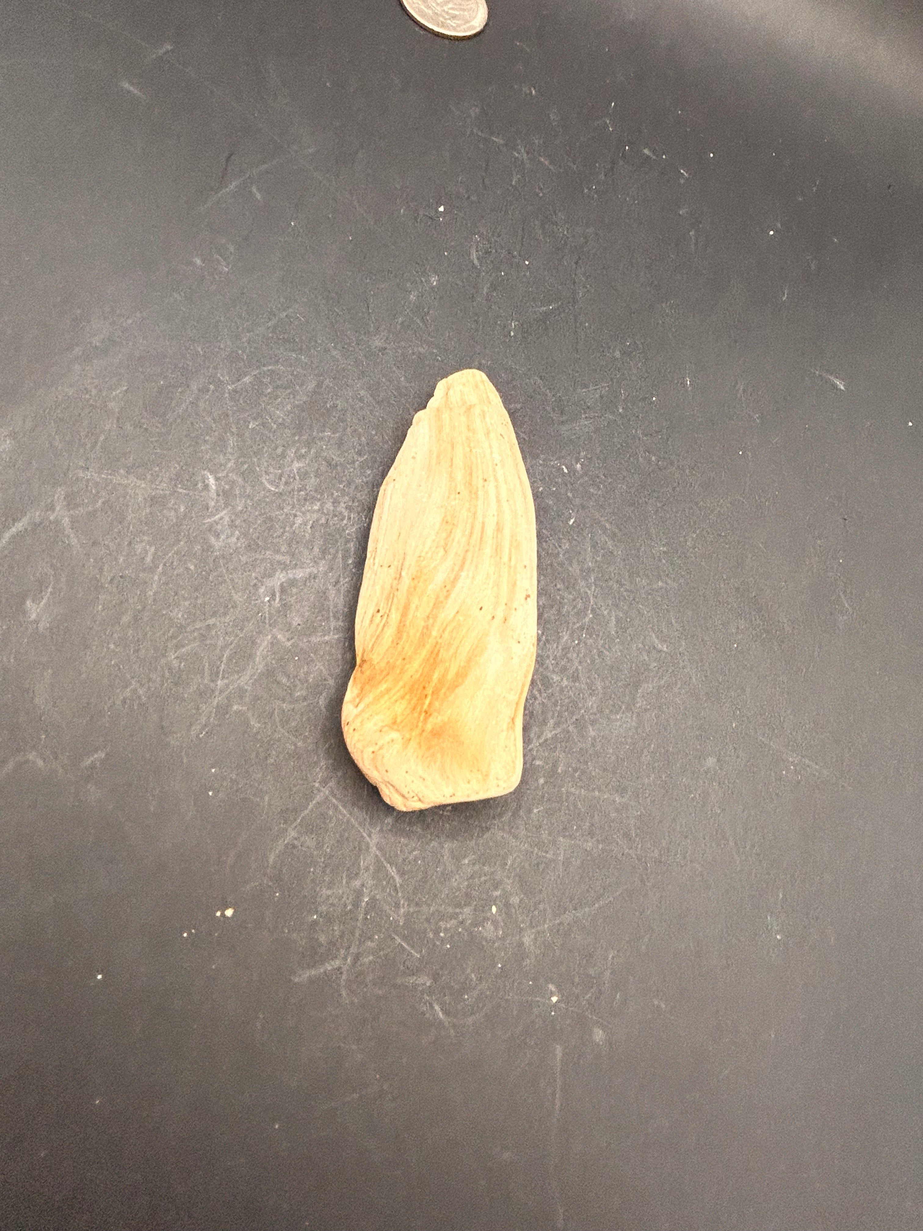 The Whisperblade of Avrilis — 1.70 oz Petrified Wood