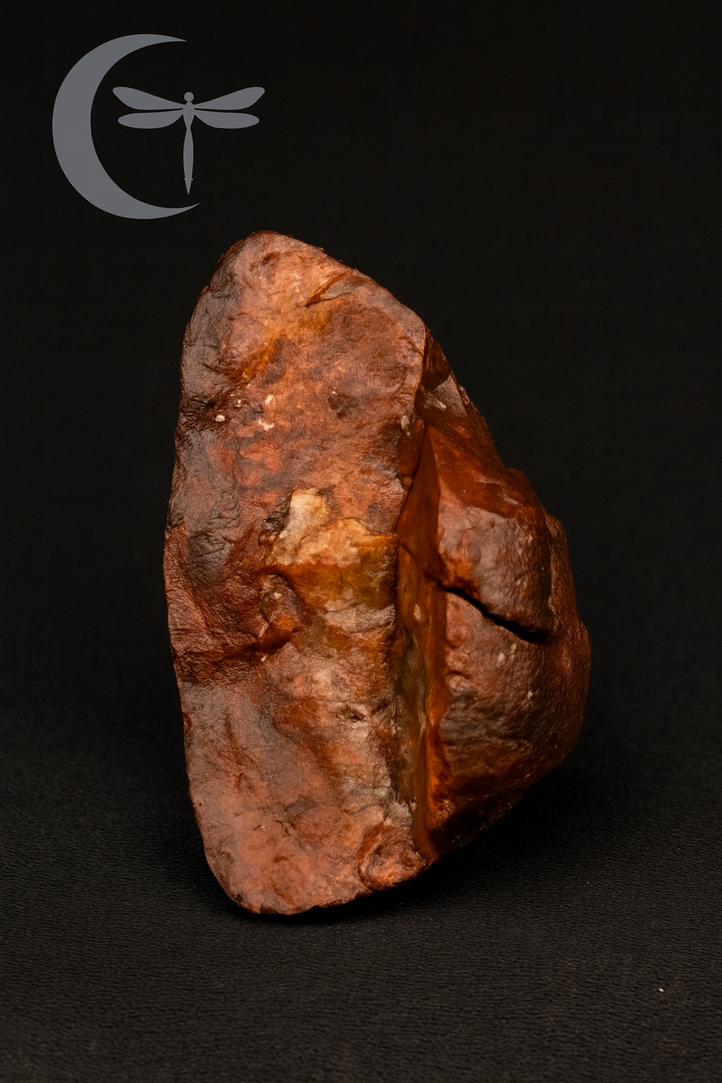 A COAL FROM THE ANCIENT FIRE

Material: Petrified Jasper with Hematite Influence

Weight: 1.12 ounces