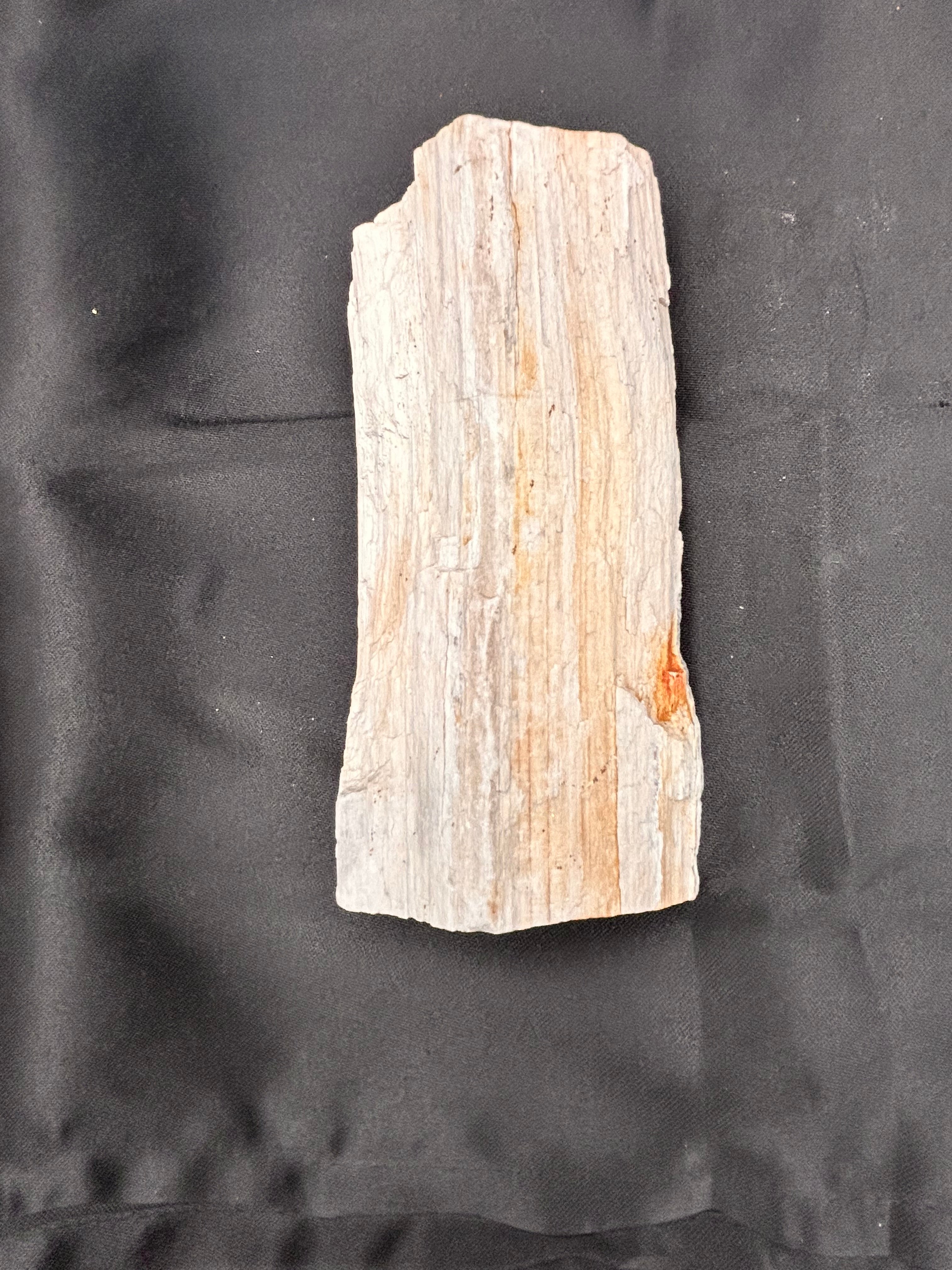 Whisperwood with Satin Spar – Ancient Petrified Wisdom