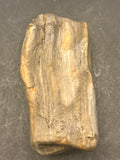 The Driftwood Echo is a 2.91-ounce exquisite piece of petrified wood