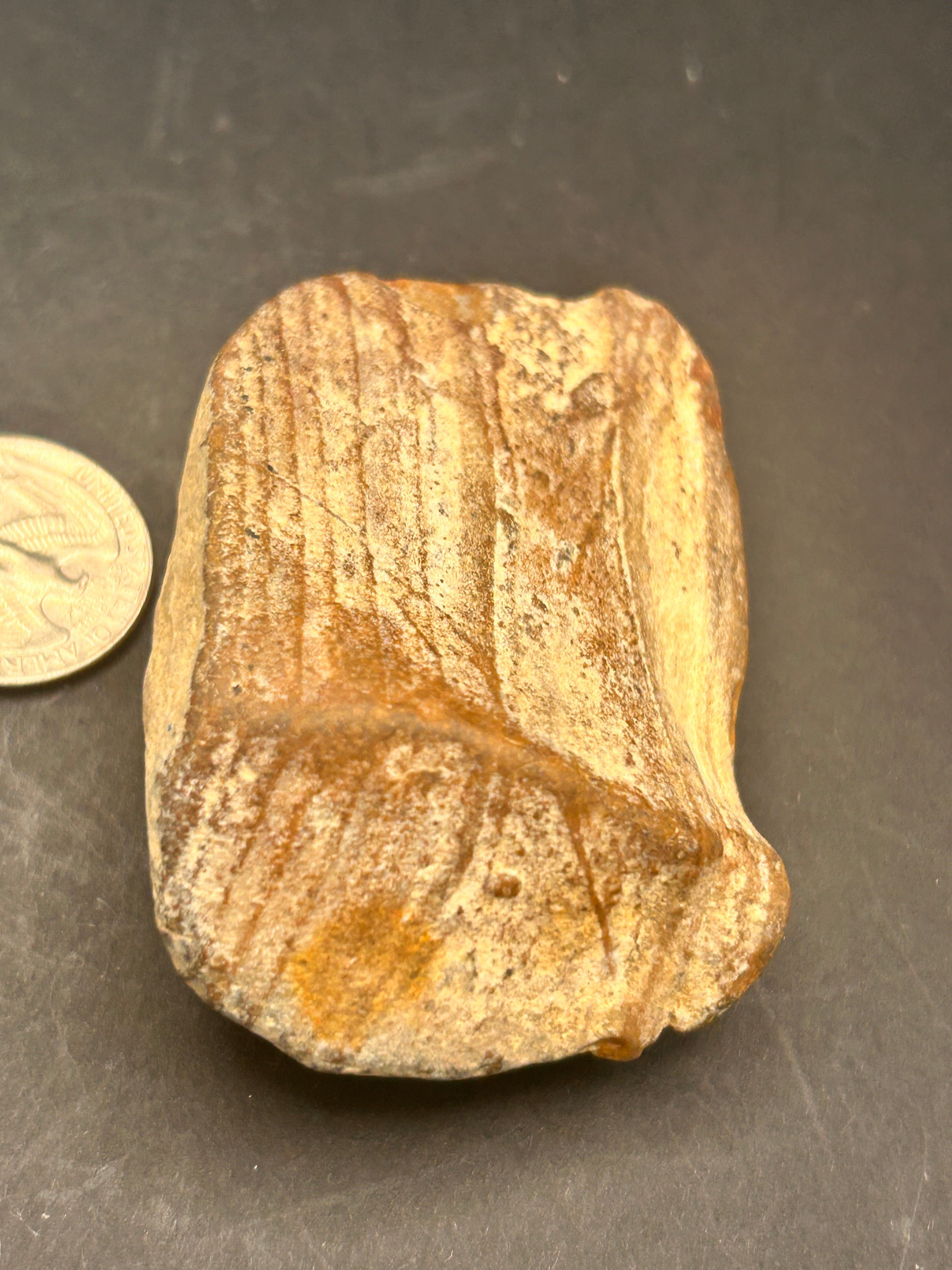 The Timber of Returning Echoes 4.68 ounces