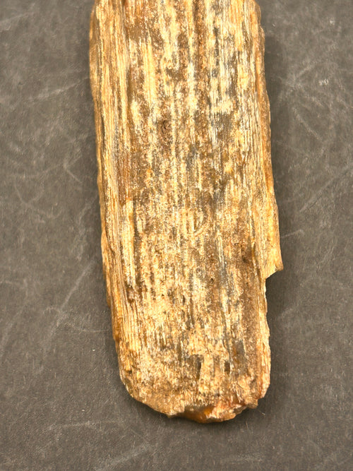 1.3-ounce petrified wood
