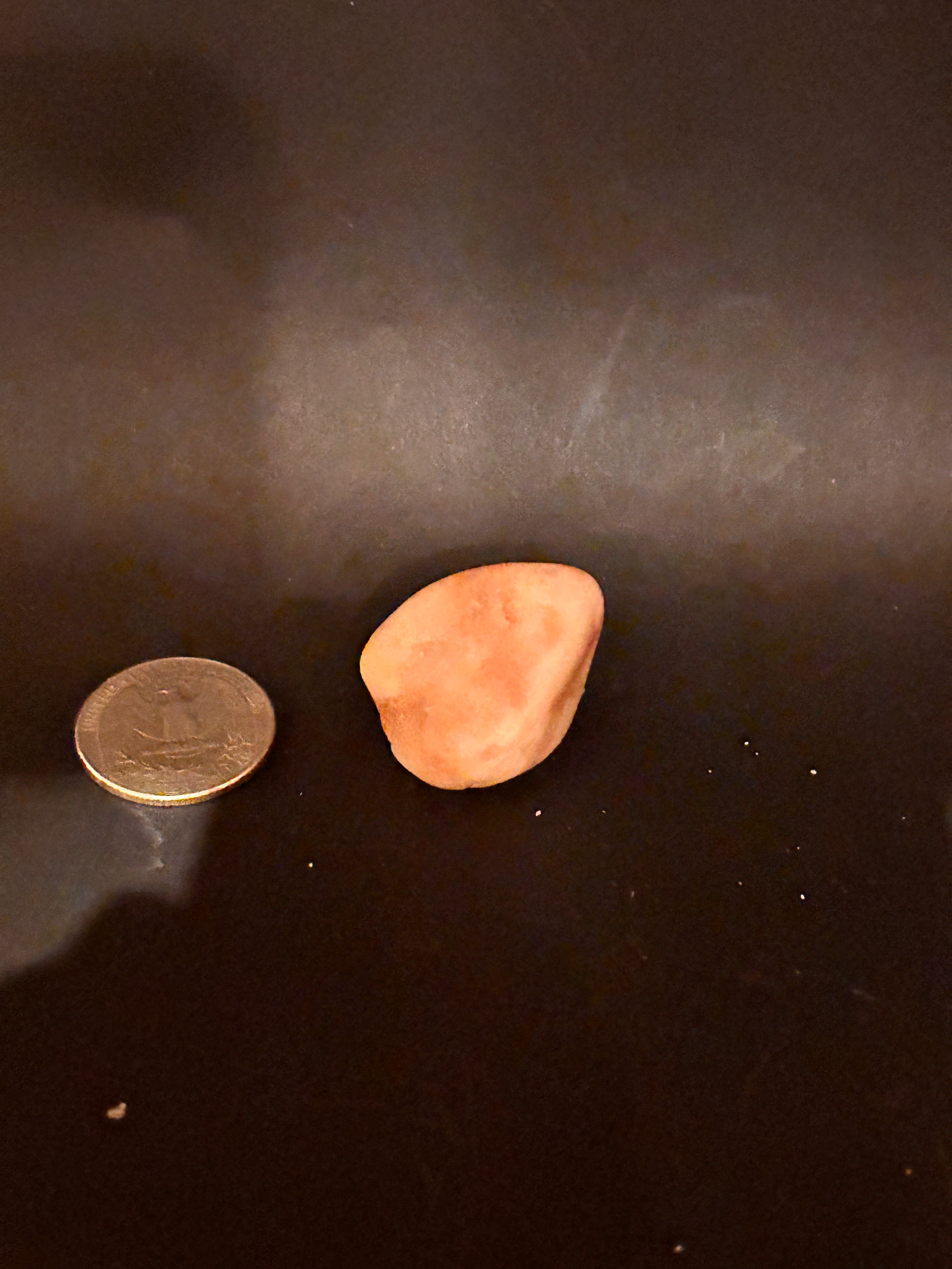✨ “THE SUNSET SEED”

(Peach Chalcedony – 0.75 oz)