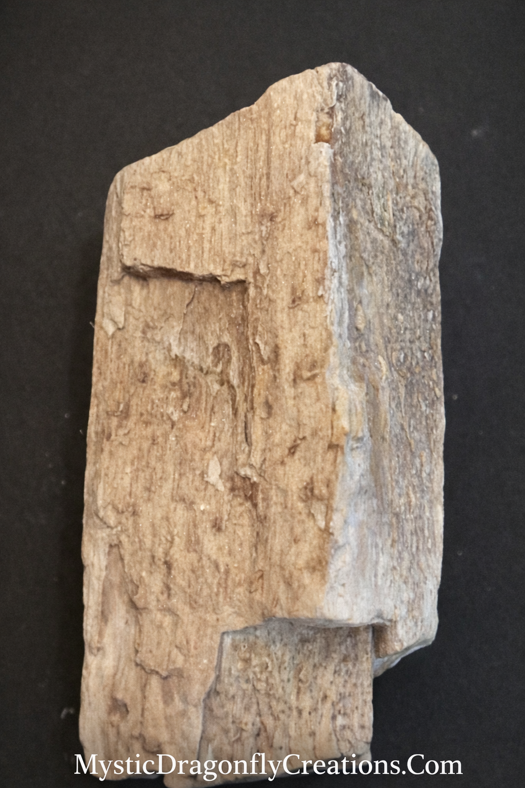 Silicified Petrified Wood with Natural Quartz Sparkle – Gulf Coast Origin (7.769 oz)