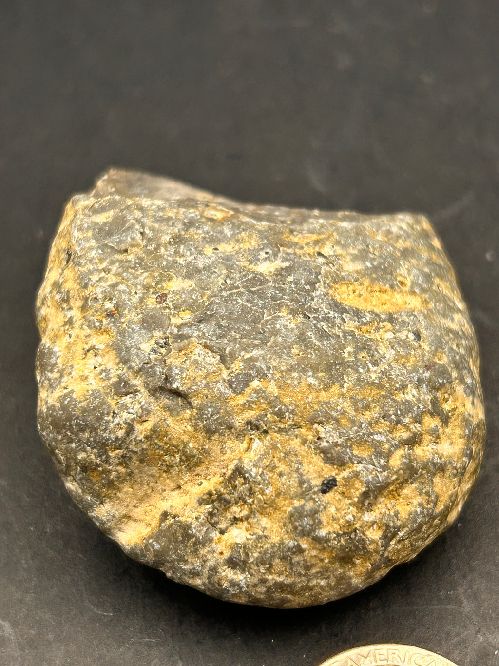 Petrified Portal Stone: “The Shrouded Memory Nodule” — 4.4 oz