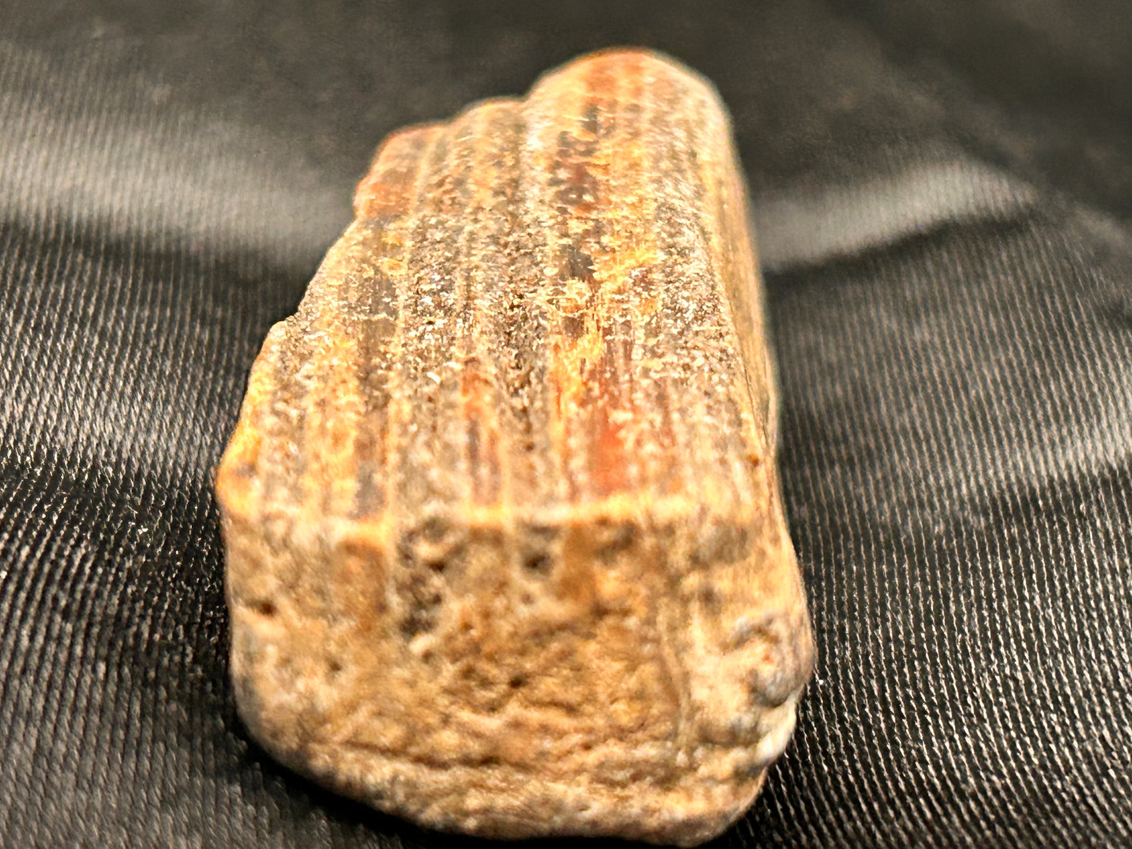 Crystallized Petrified Jasper – 1.04 oz