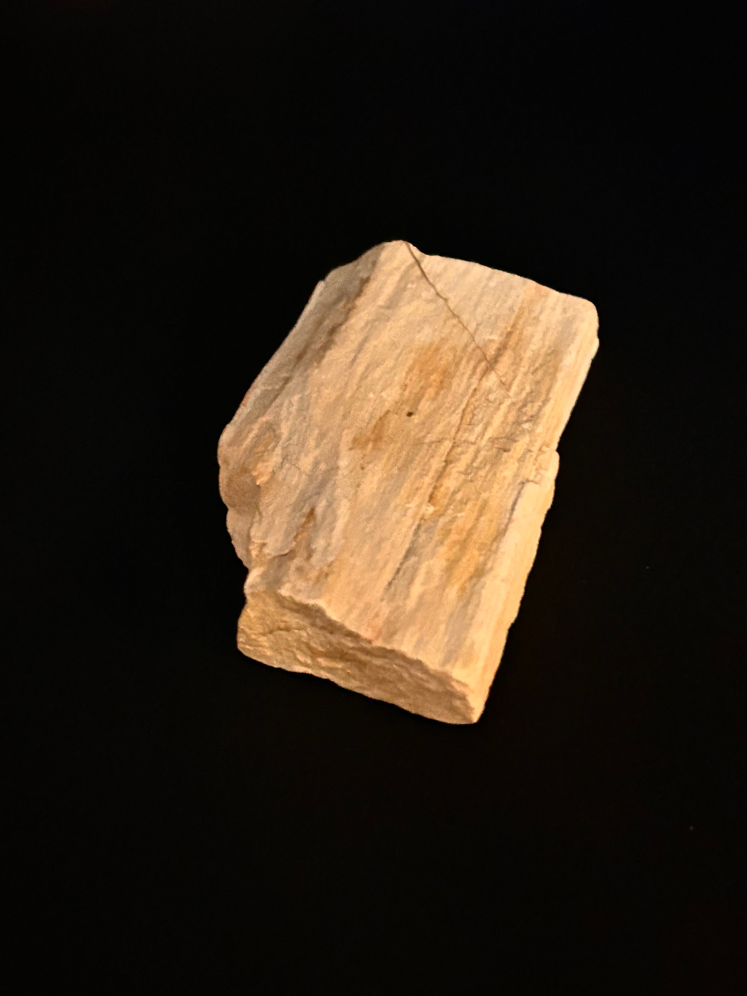 Whisperwood:  Petrified Wood