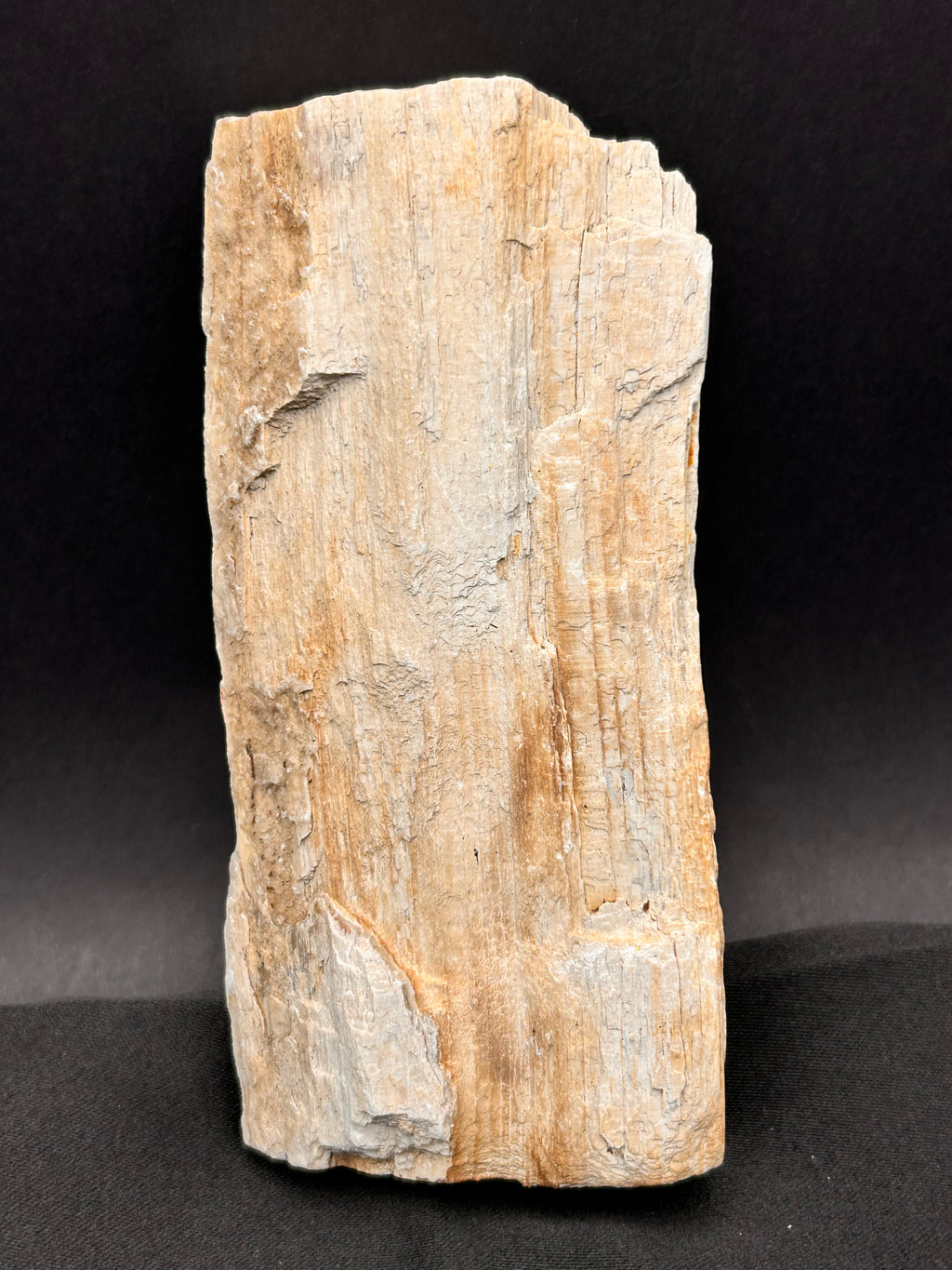 Whisperwood with Satin Spar – Ancient Petrified Wisdom